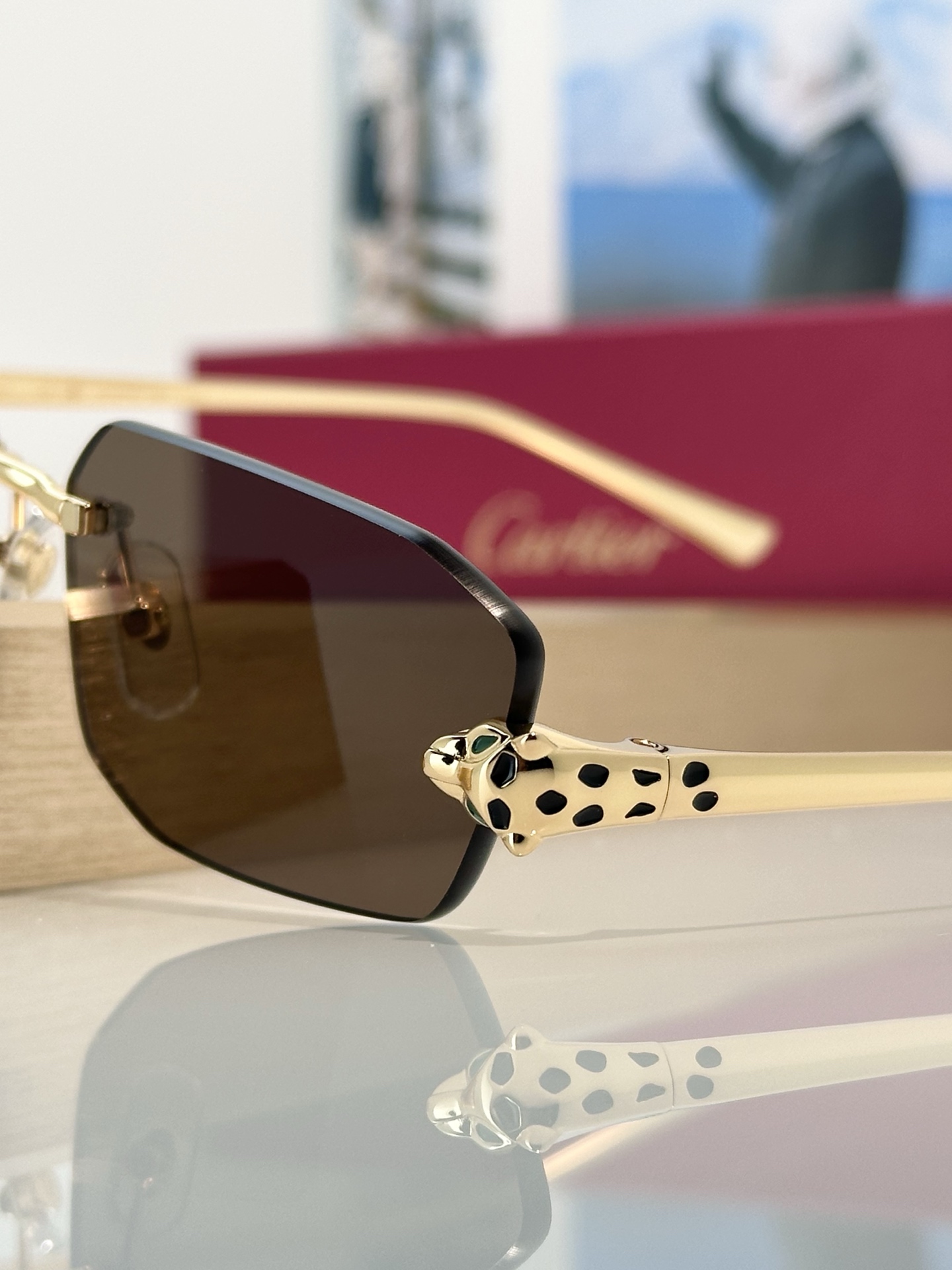 Designer Sunglasses CT0474S