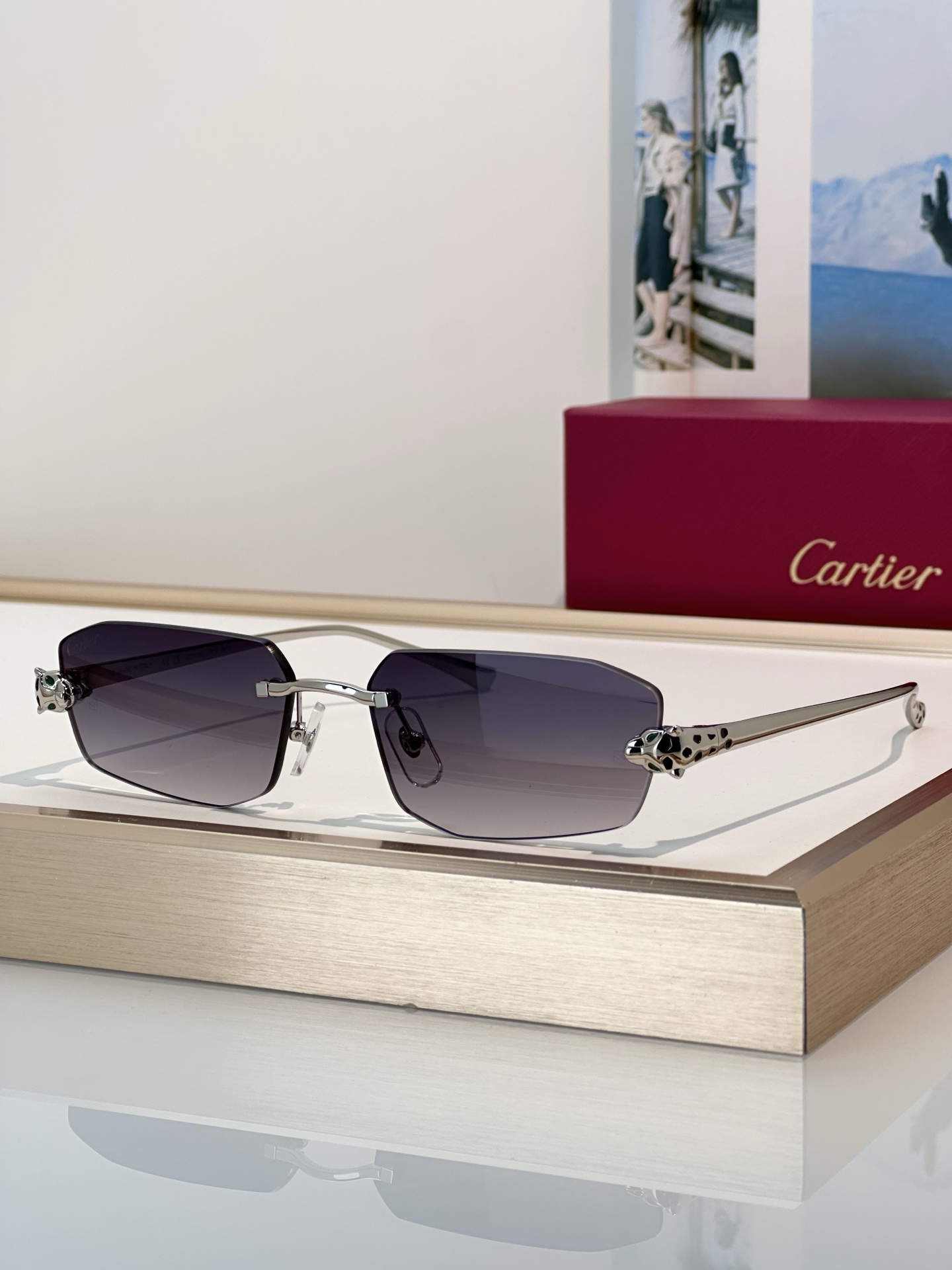 Designer Sunglasses CT0474S
