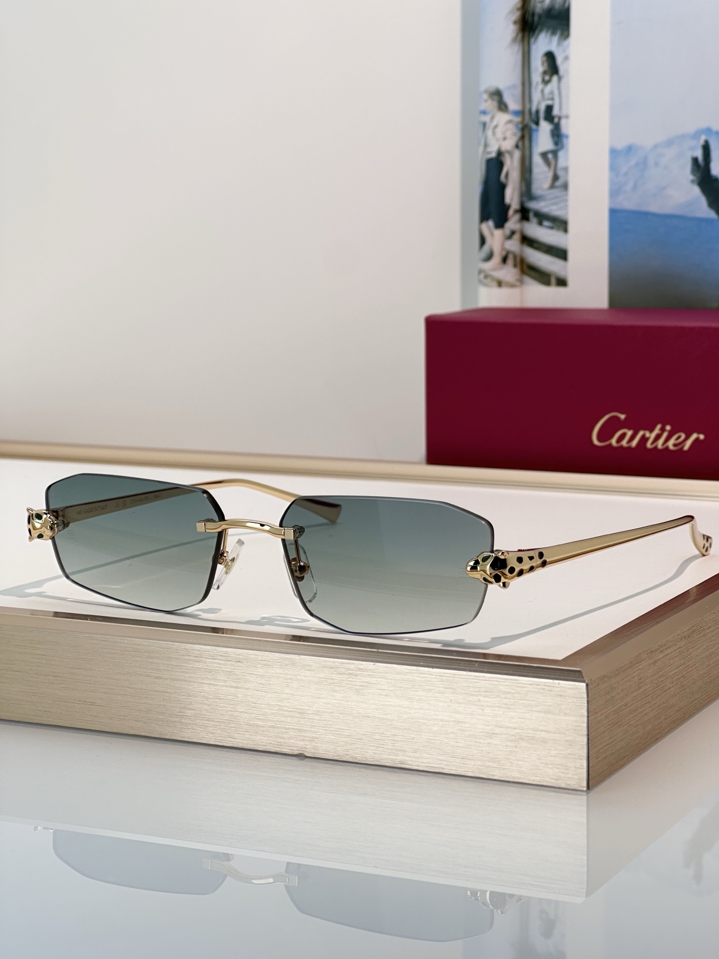 Designer Sunglasses CT0474S