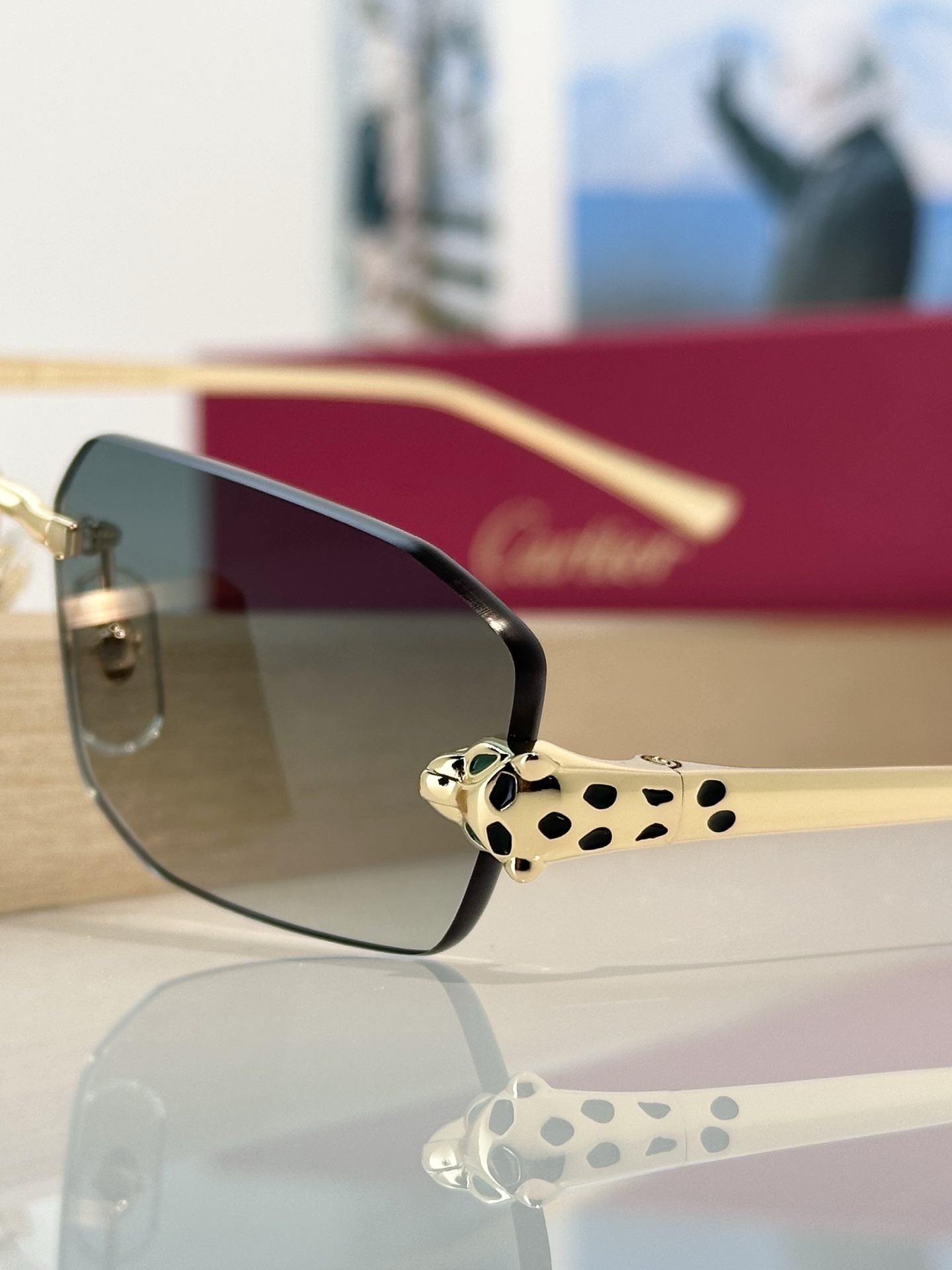 Designer Sunglasses CT0474S