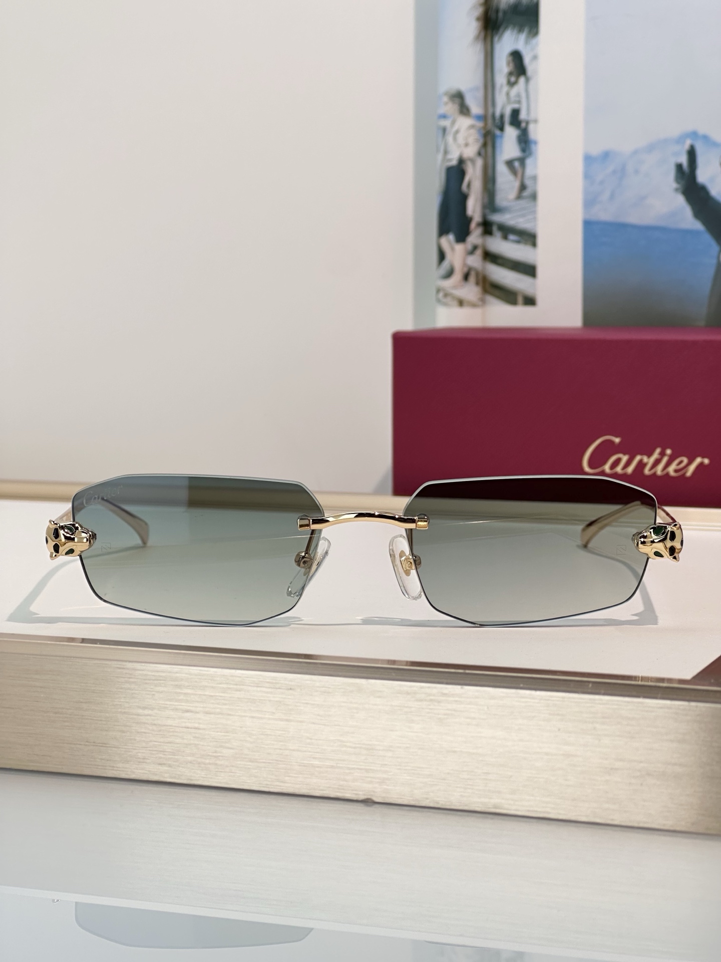 Designer Sunglasses CT0474S