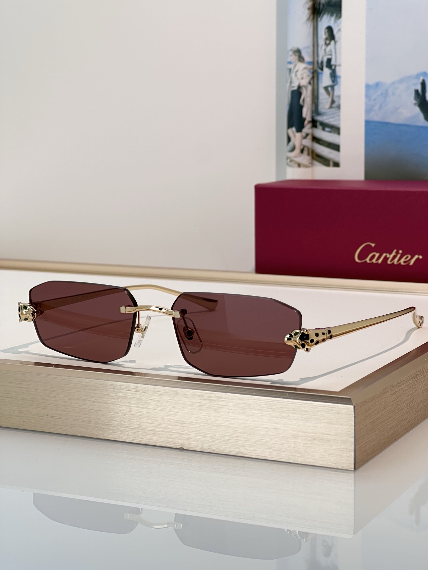 Designer Sunglasses CT0474S