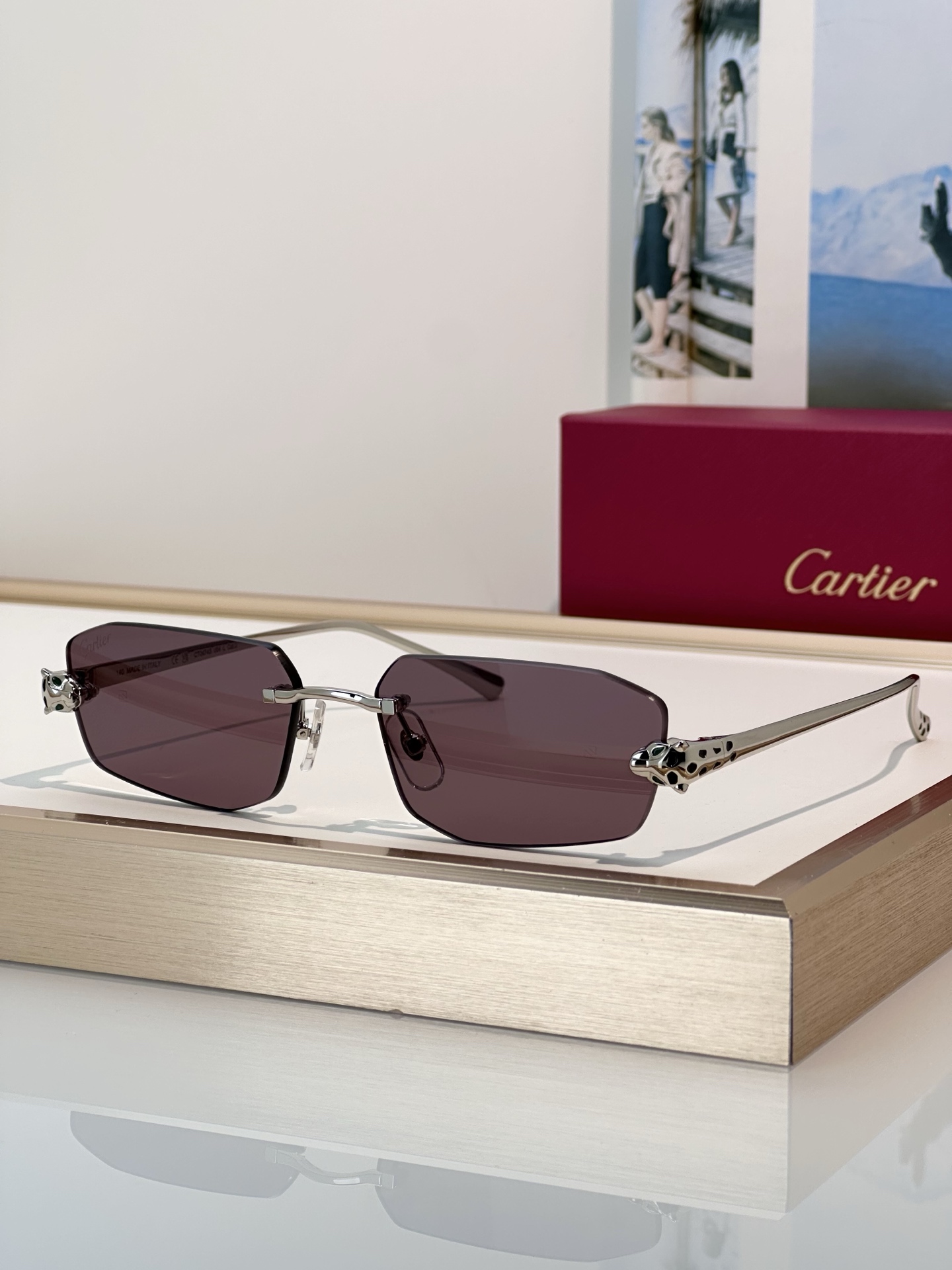 Designer Sunglasses CT0474S
