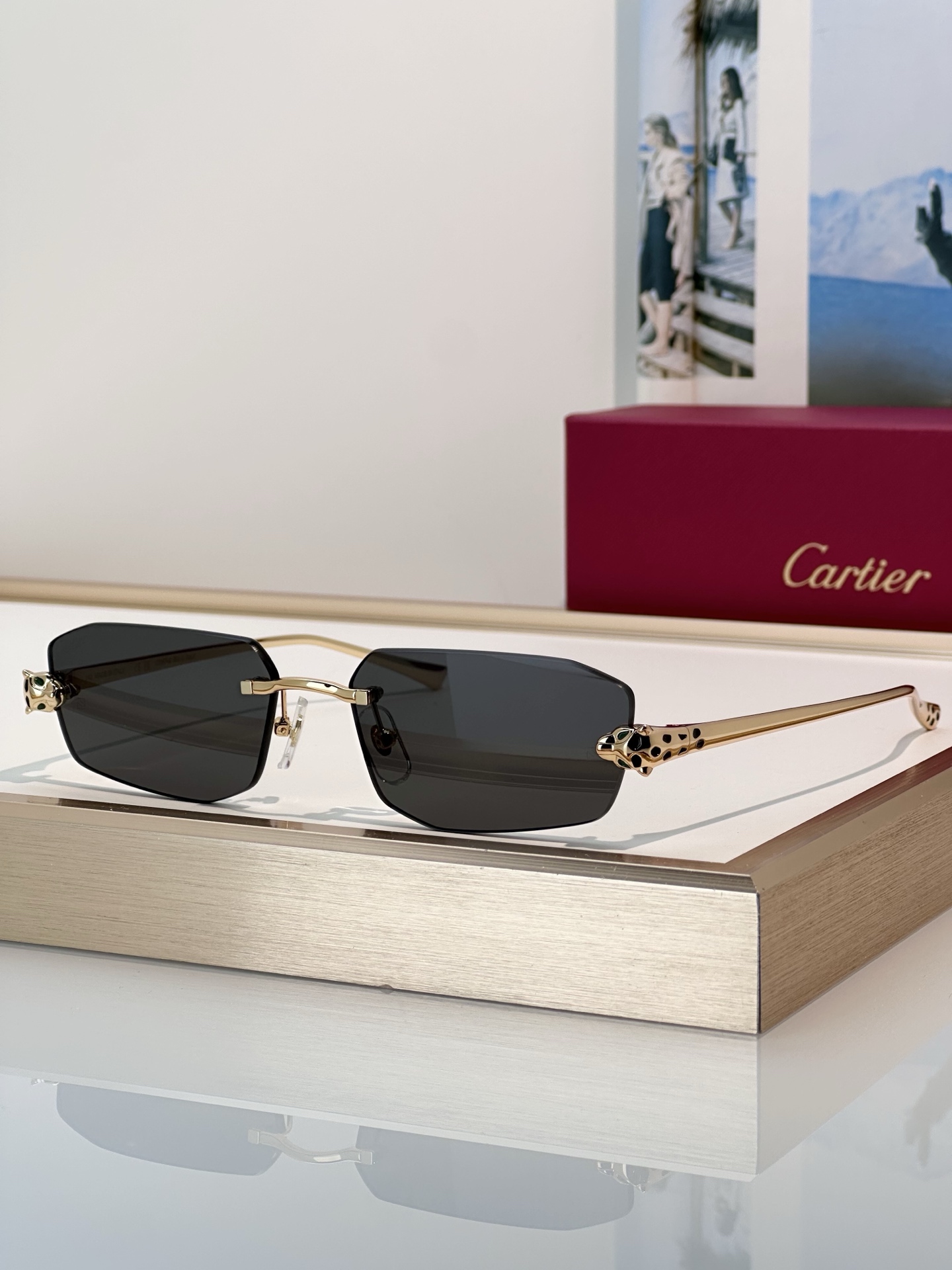 Designer Sunglasses CT0474S