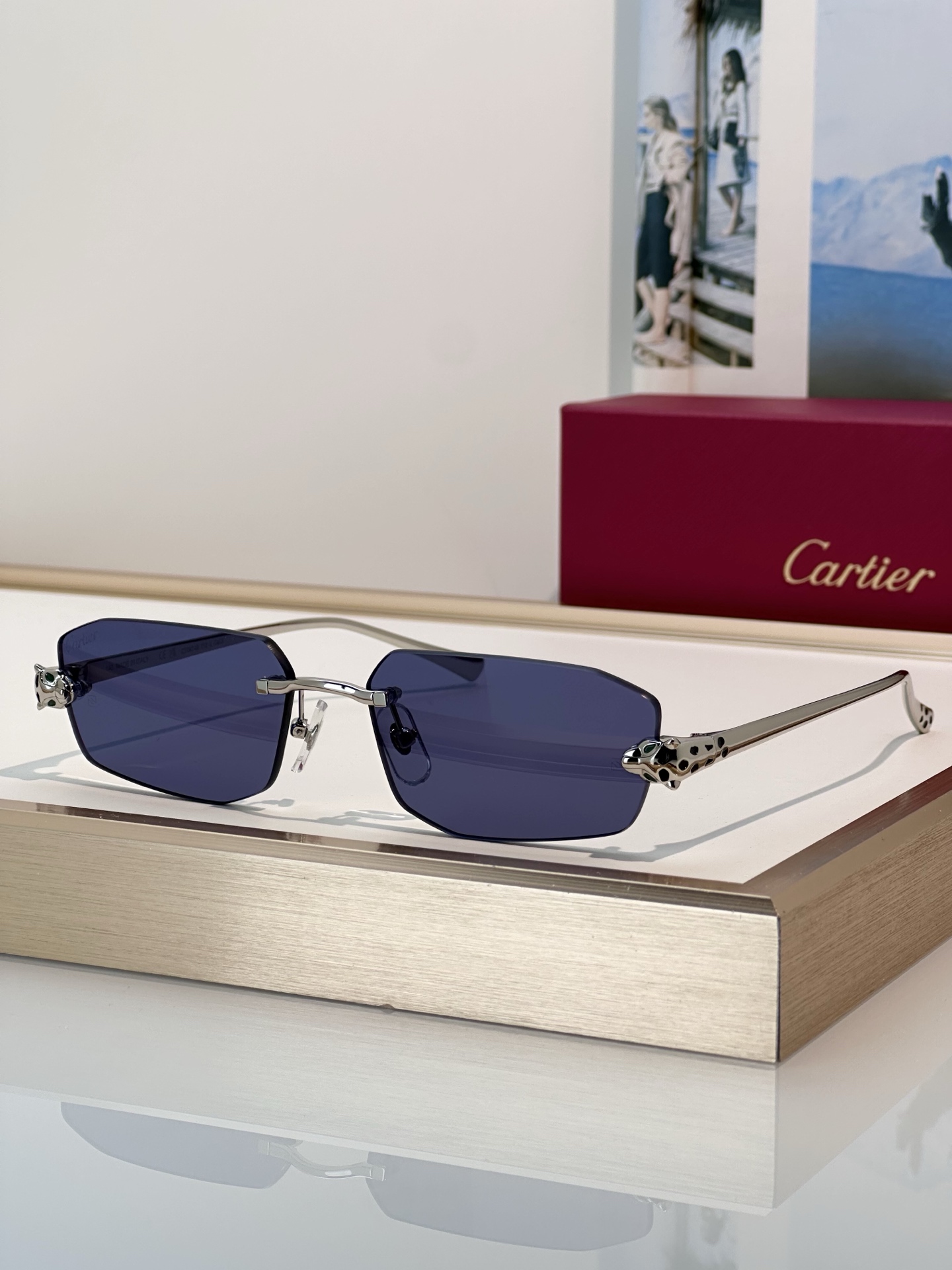 Designer Sunglasses CT0474S
