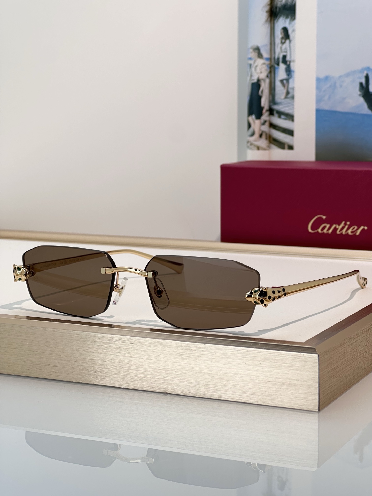 Designer Sunglasses CT0474S