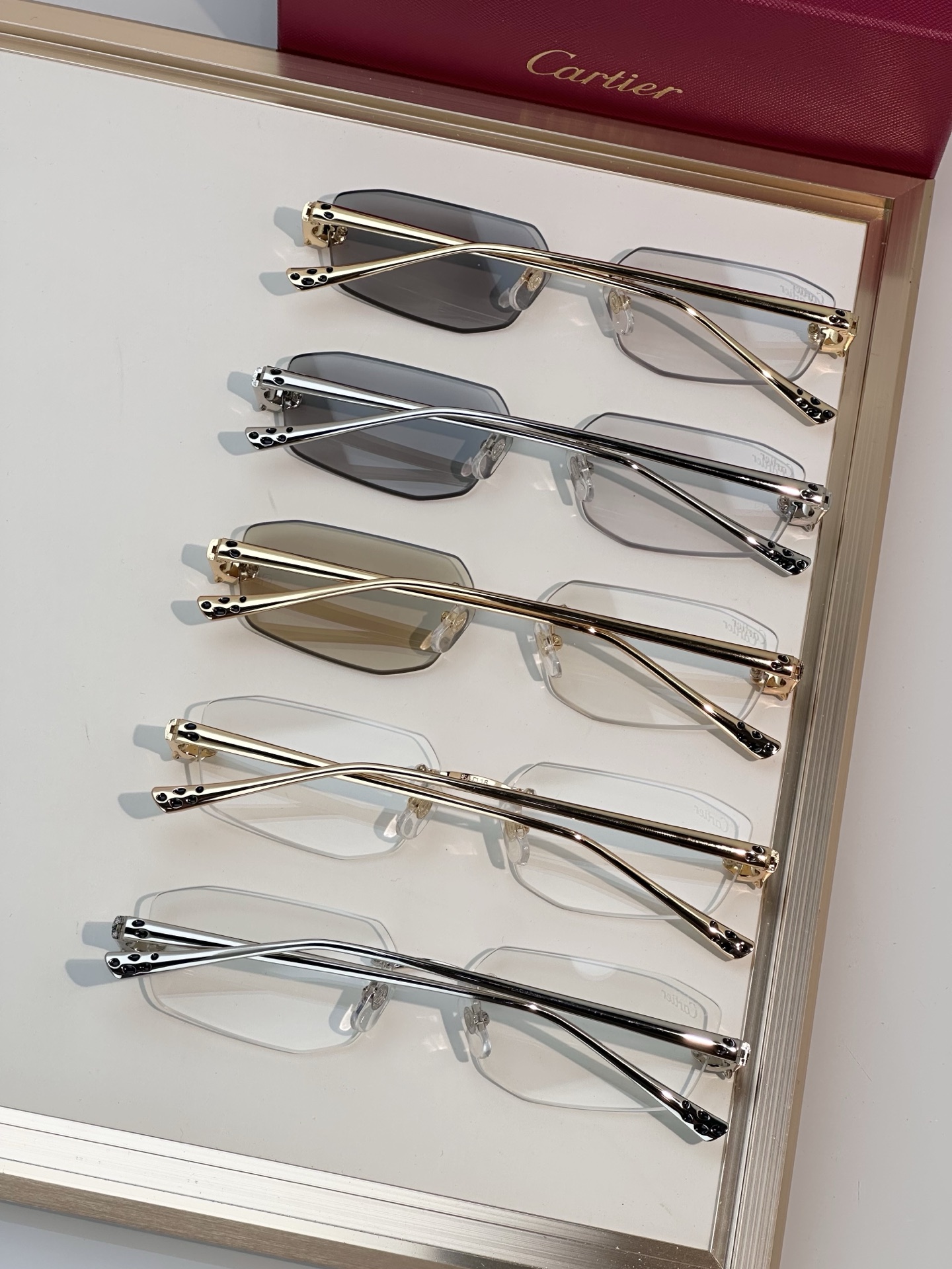 Designer Sunglasses CT0474S