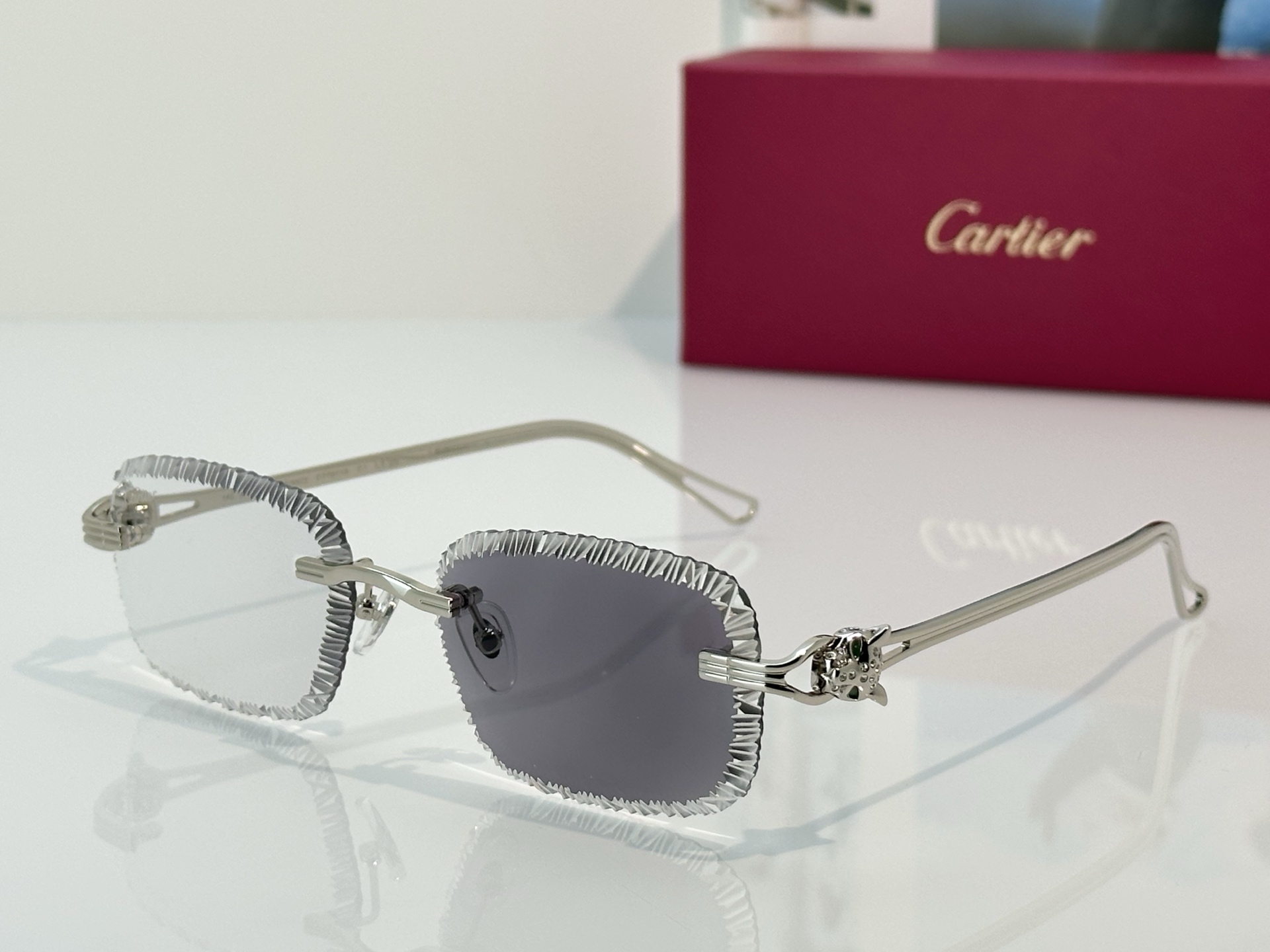 Designer Sunglasses CT7071S