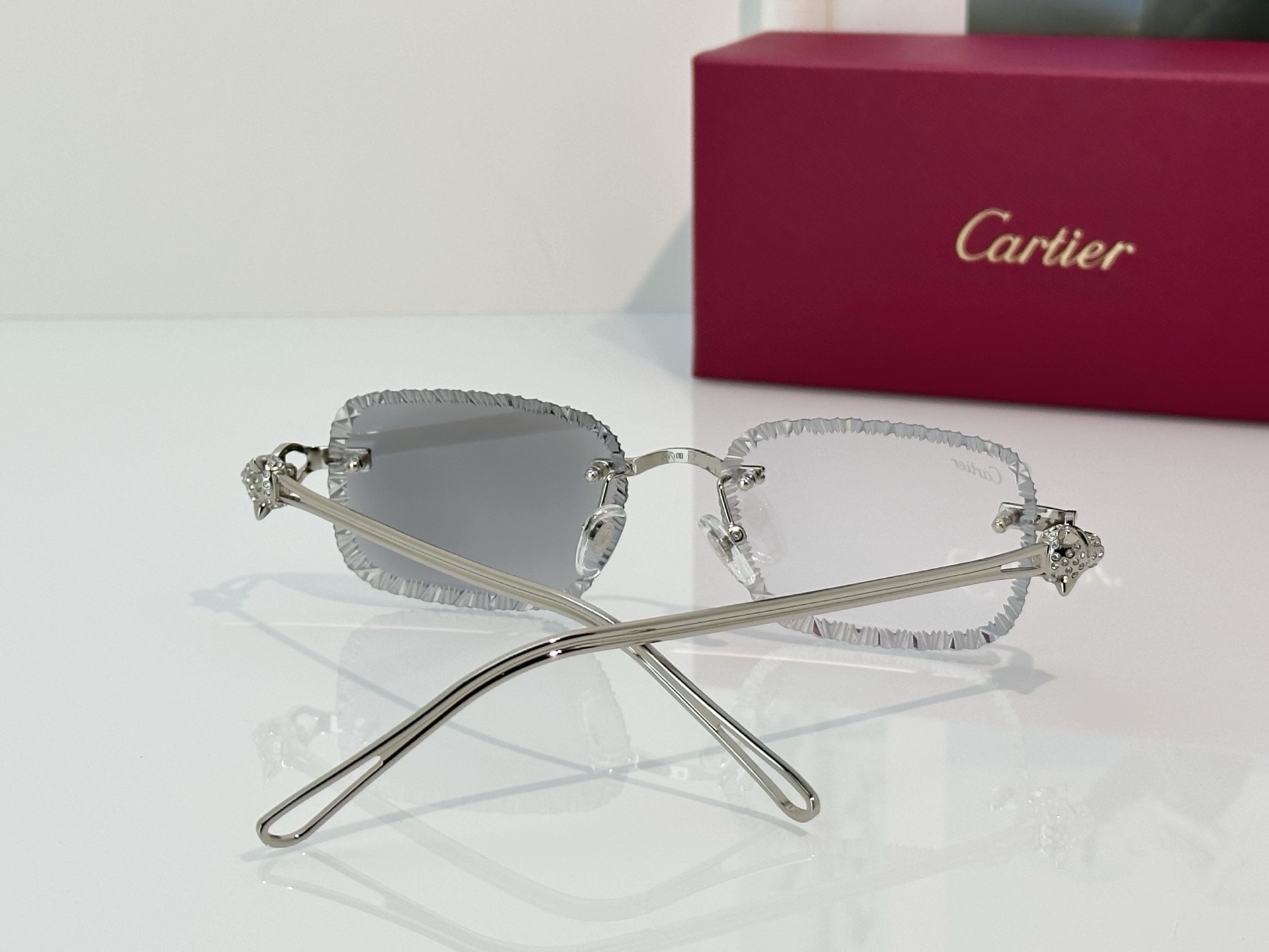 Designer Sunglasses CT7071S