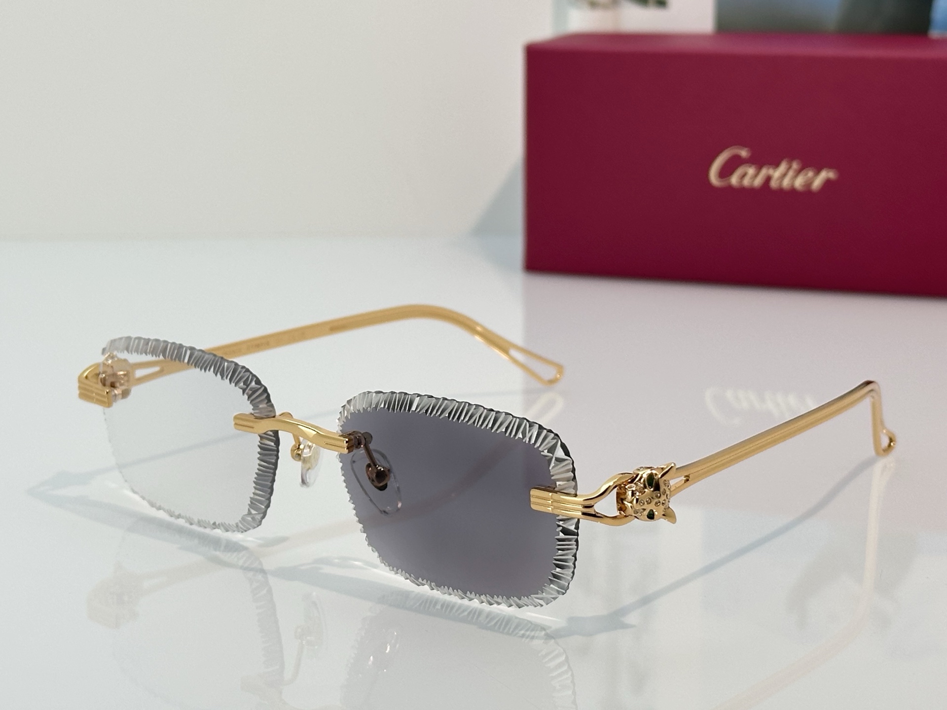 Designer Sunglasses CT7071S