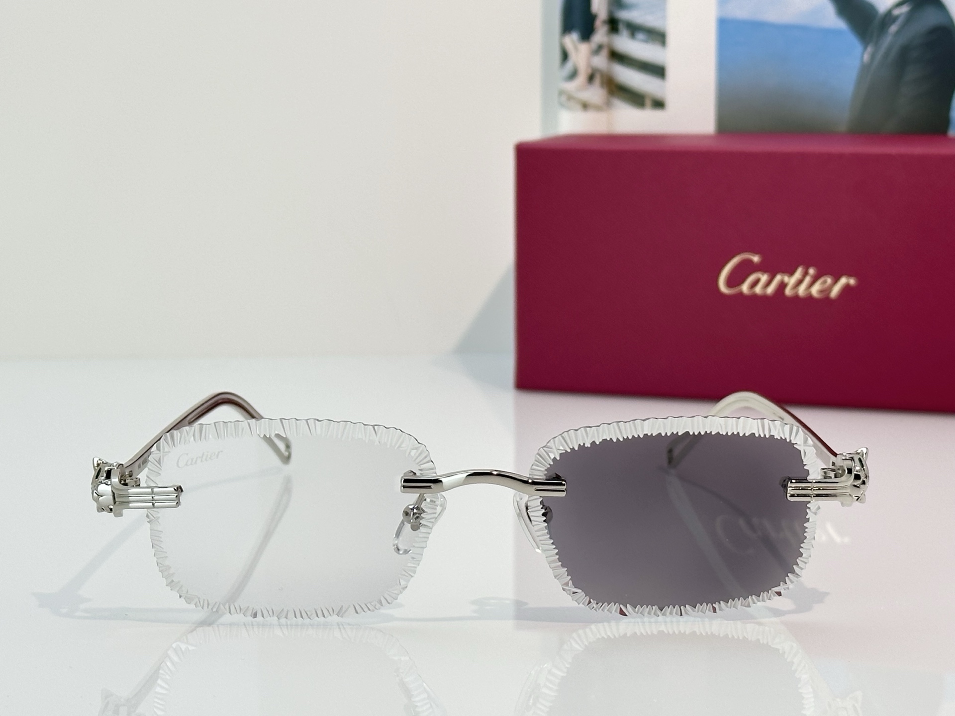 Designer Sunglasses CT7071S