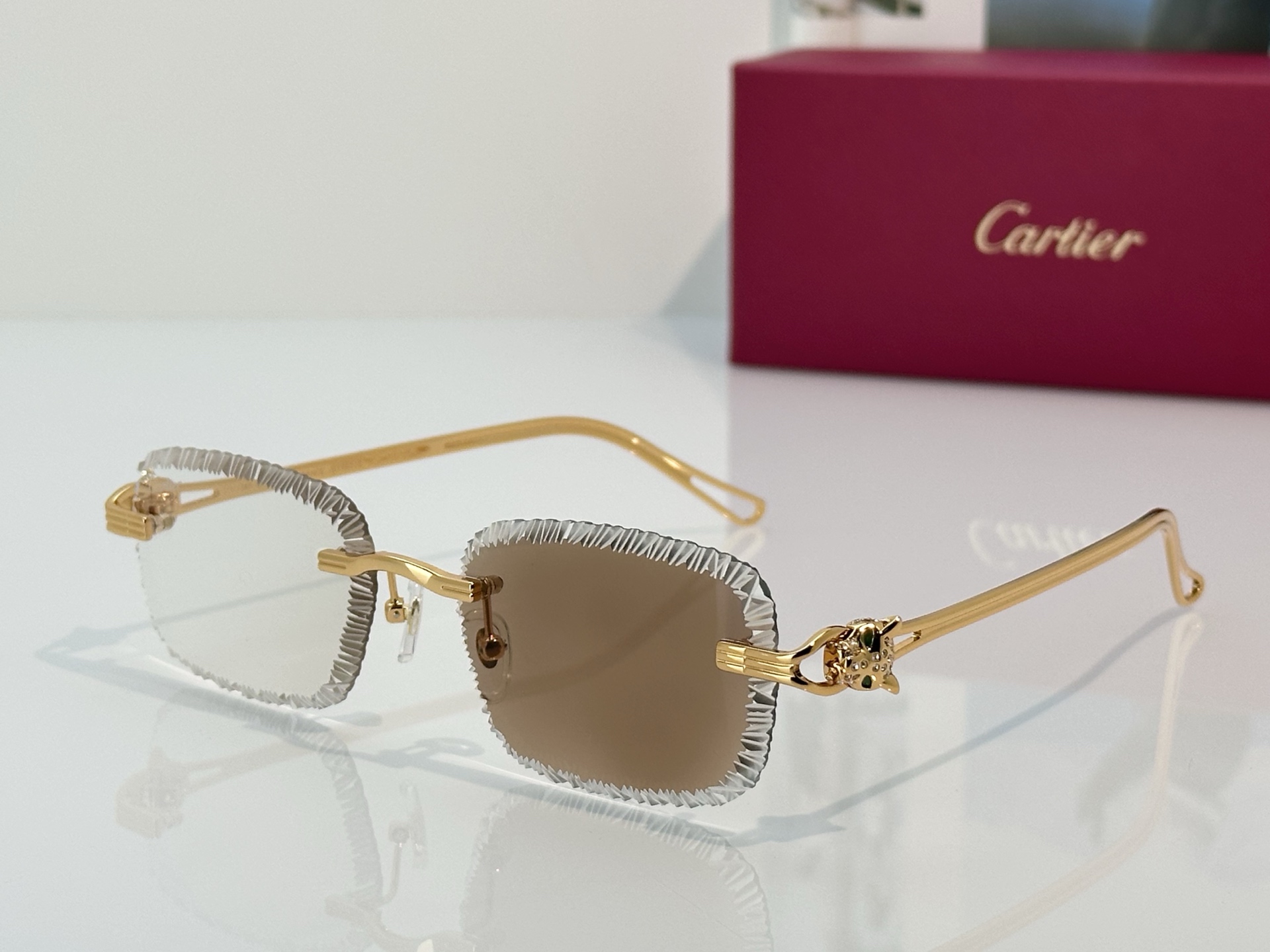Designer Sunglasses CT7071S