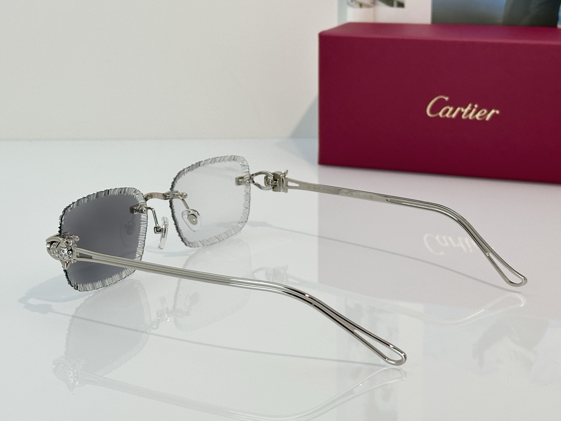 Designer Sunglasses CT7071S