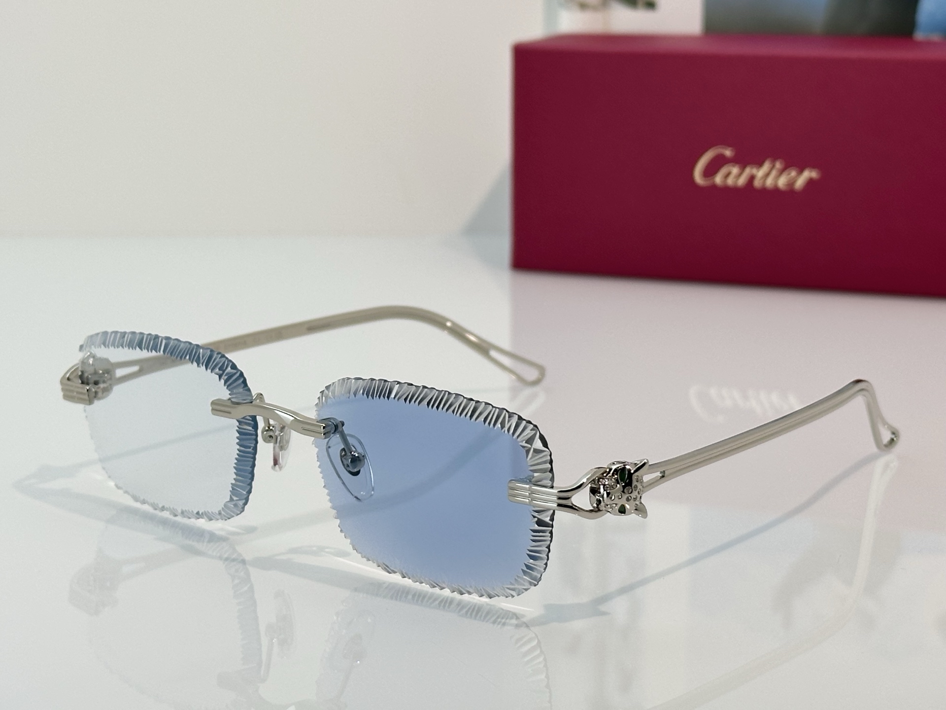 Designer Sunglasses CT7071S