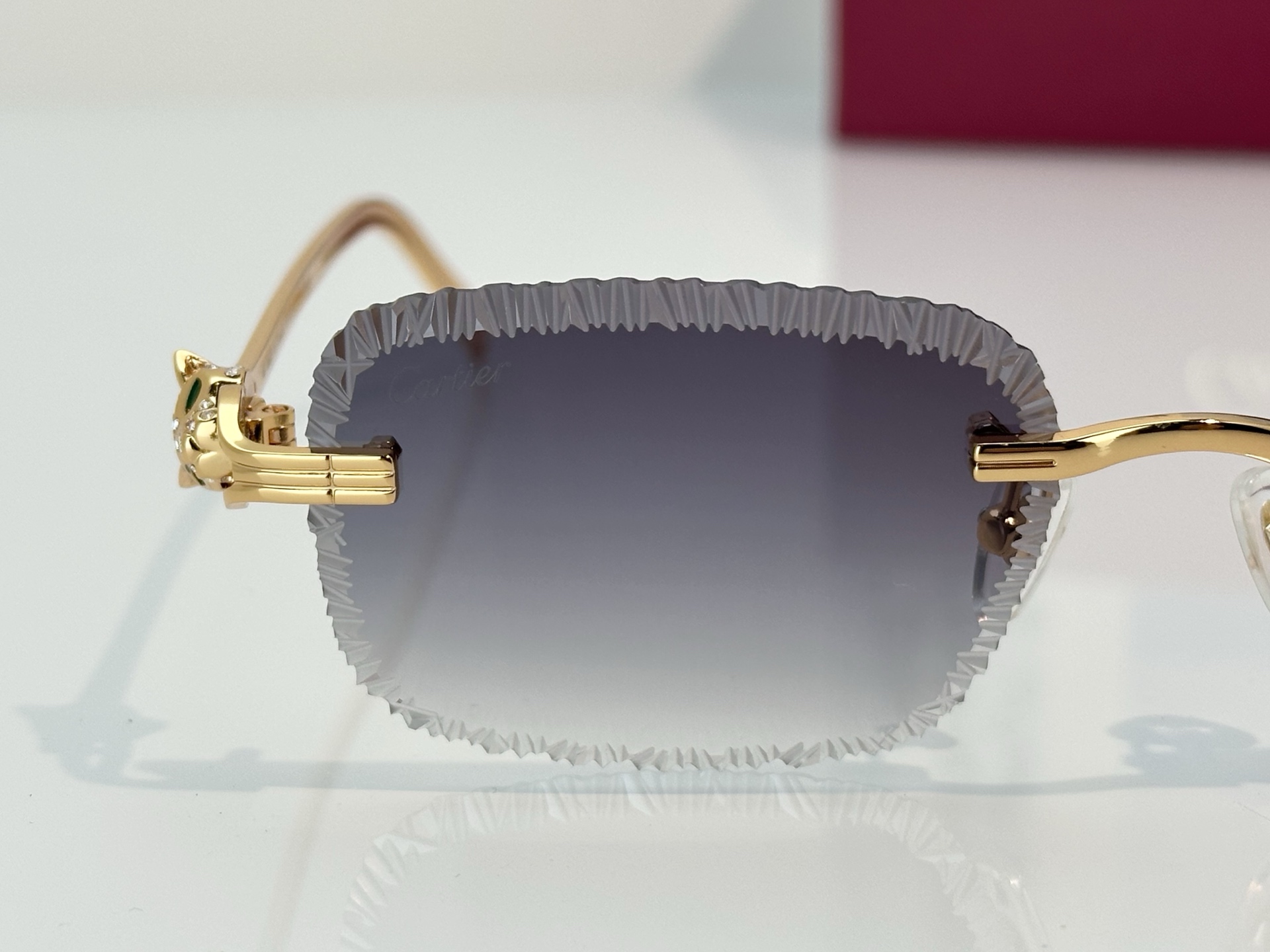 Designer Sunglasses CT7071S