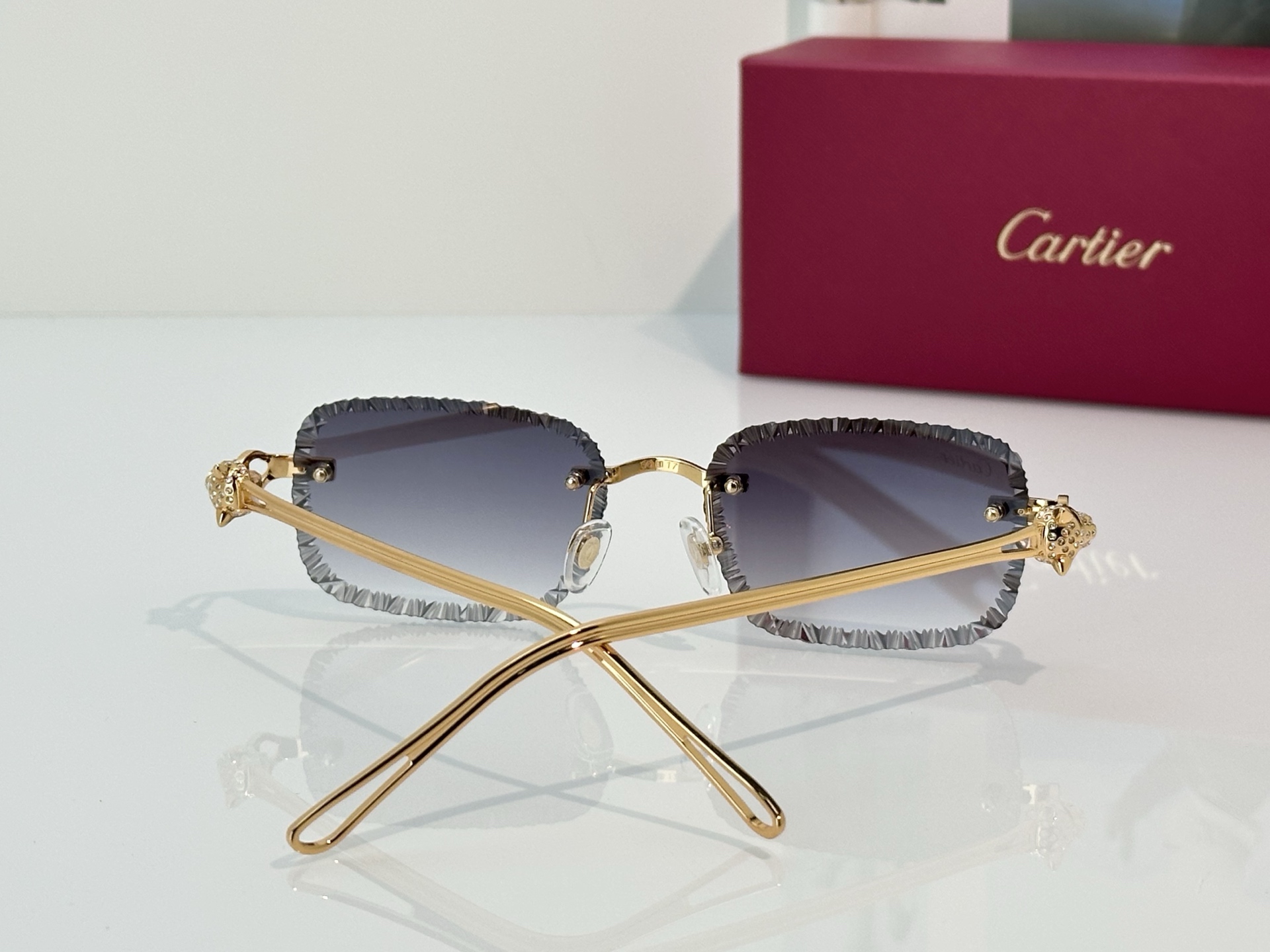 Designer Sunglasses CT7071S