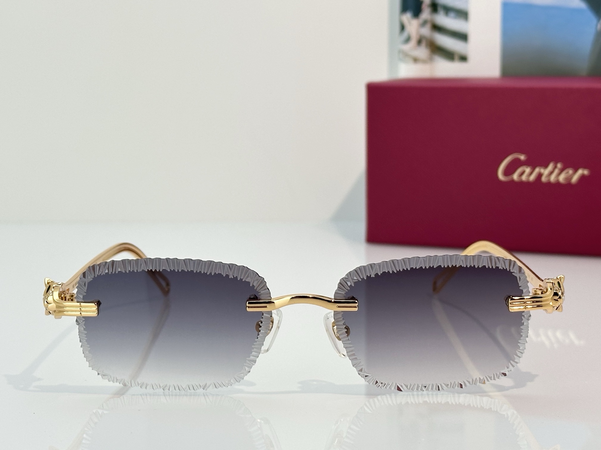Designer Sunglasses CT7071S