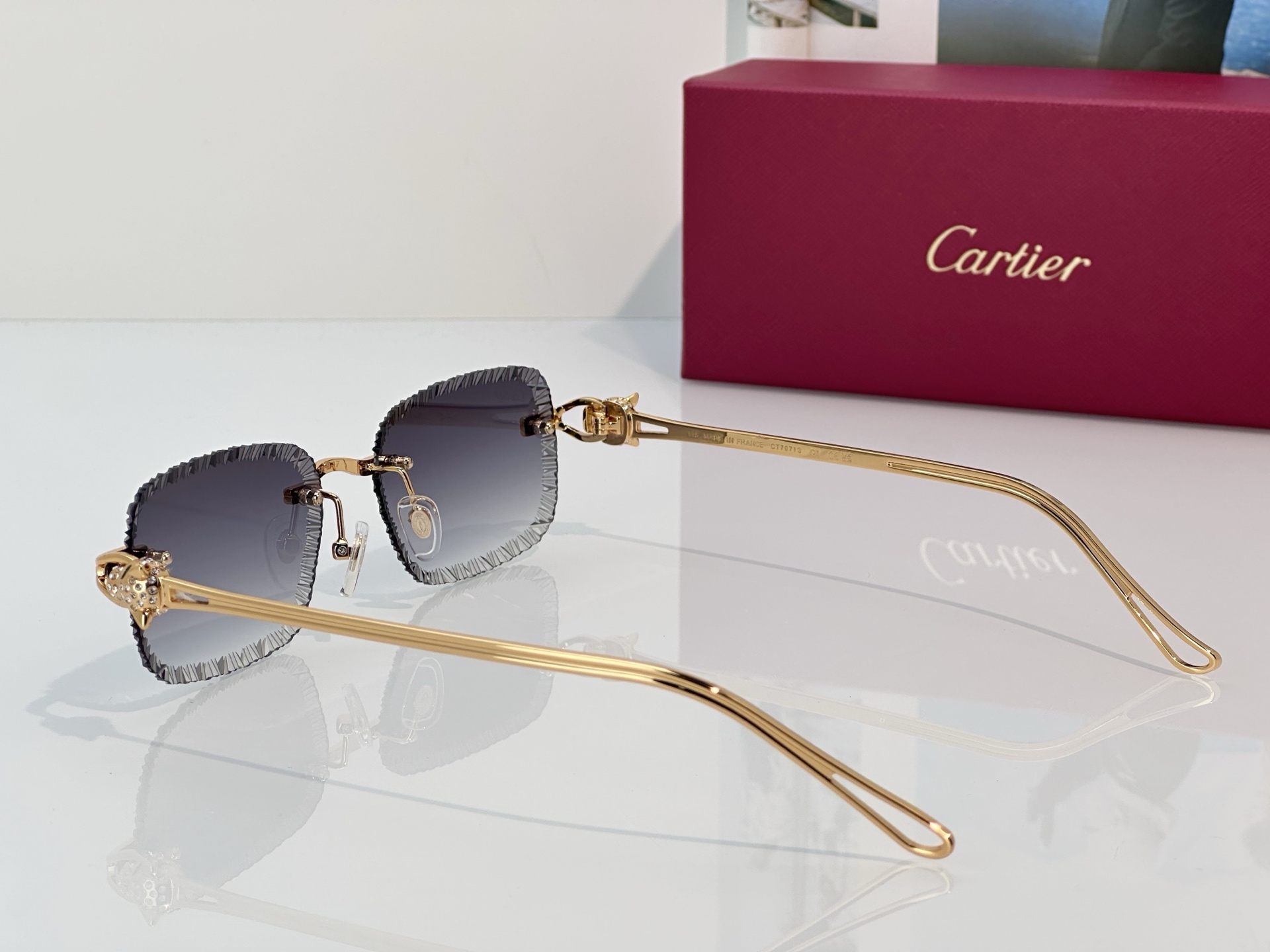 Designer Sunglasses CT7071S