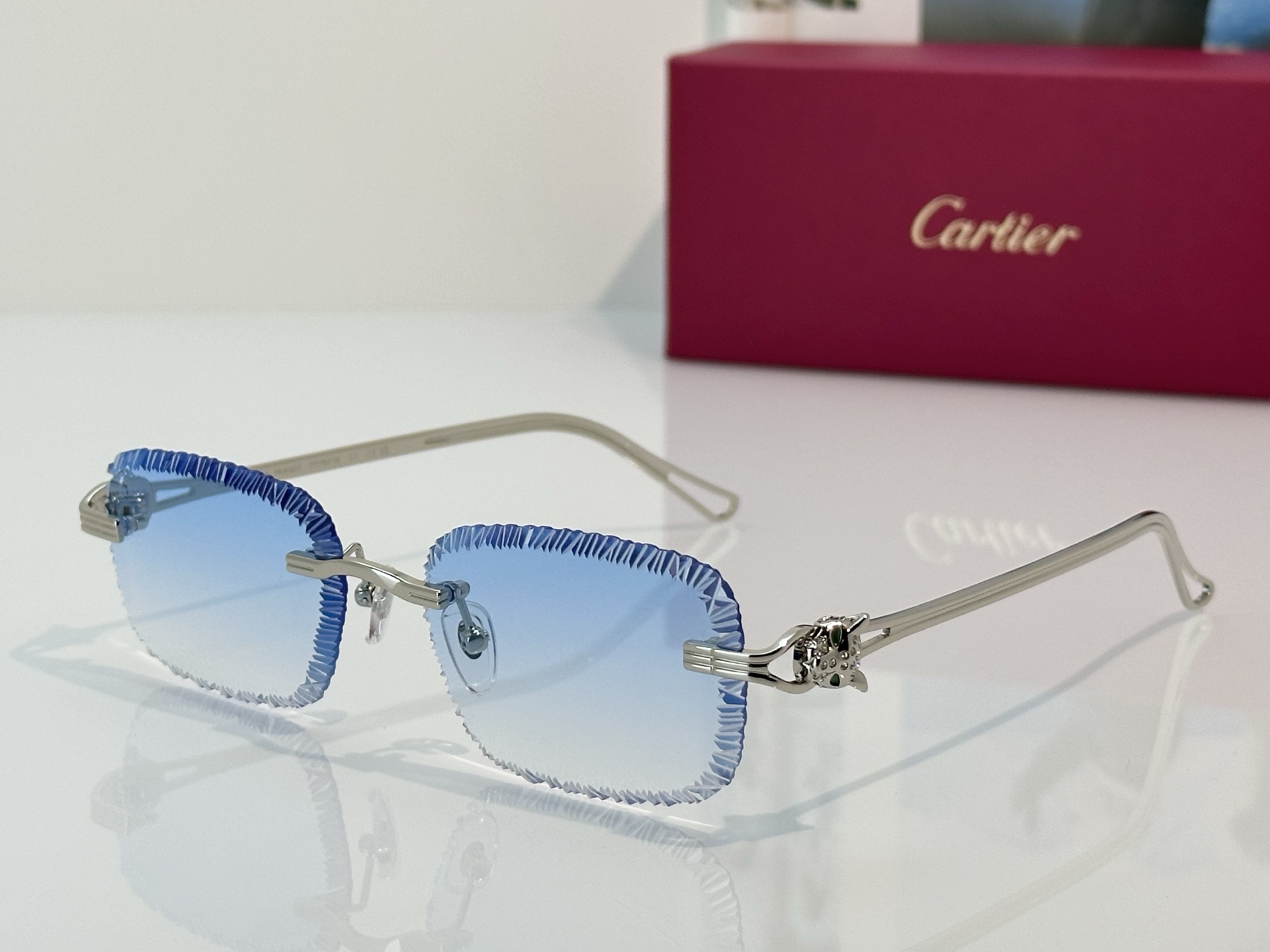 Designer Sunglasses CT7071S