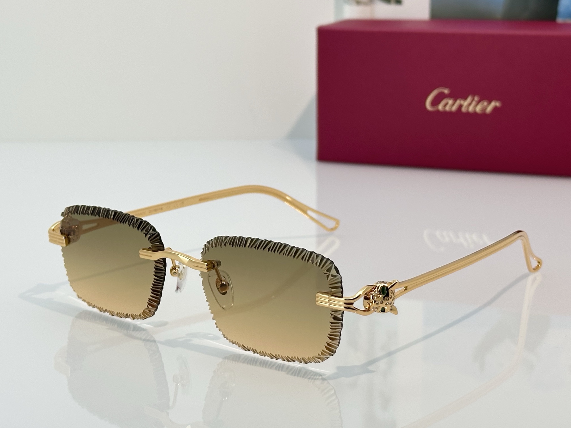 Designer Sunglasses CT7071S