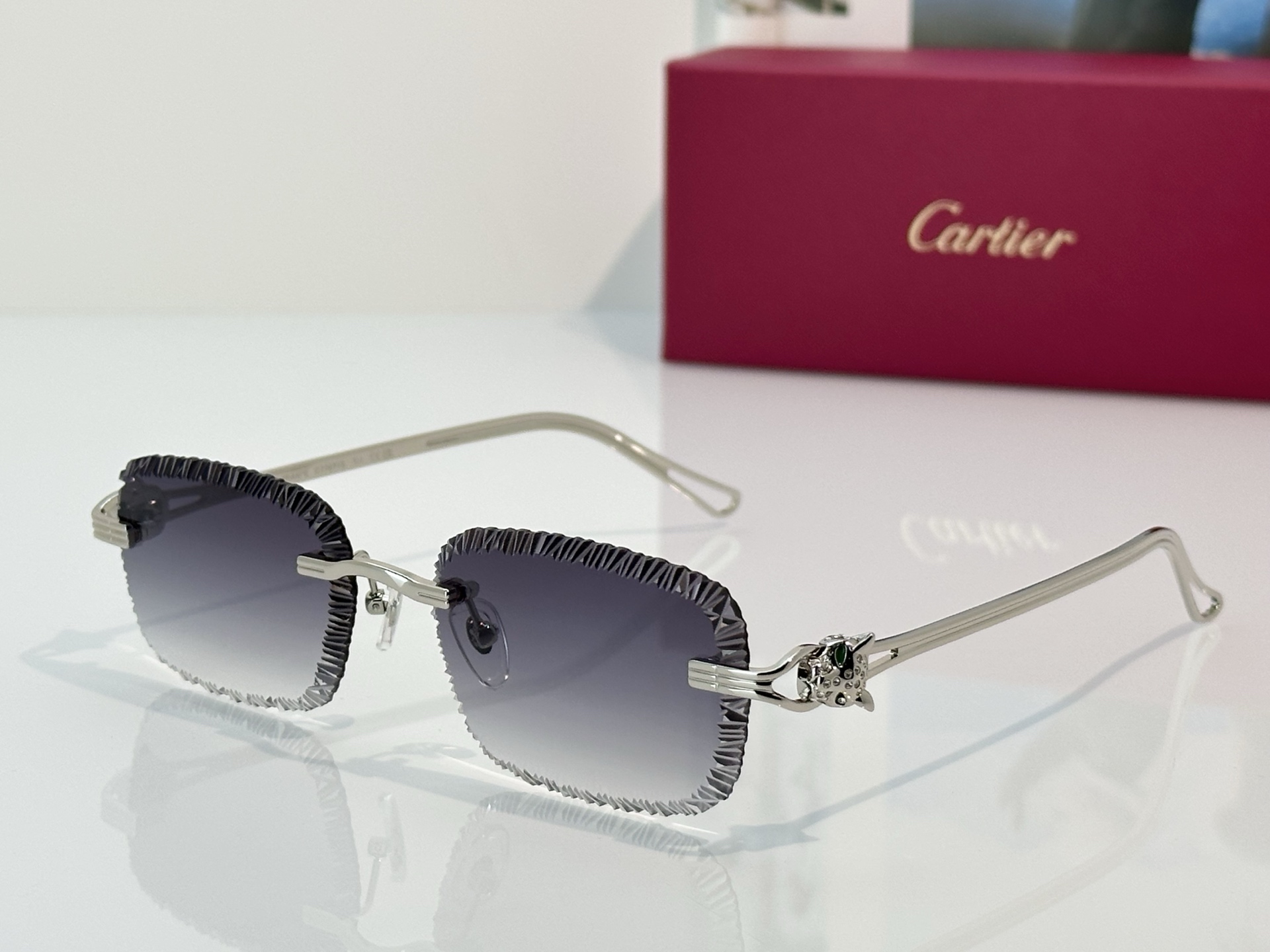 Designer Sunglasses CT7071S