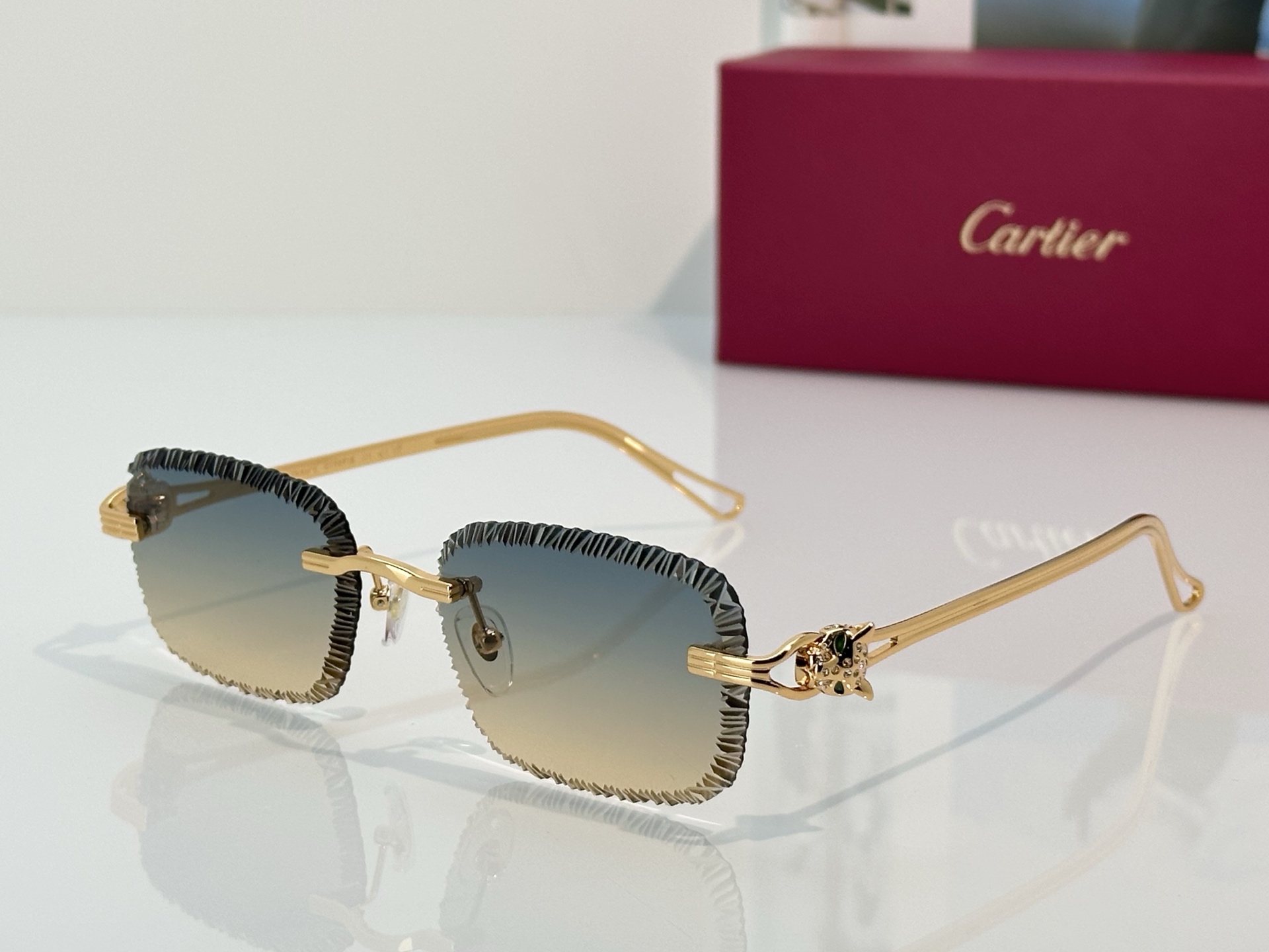 Designer Sunglasses CT7071S