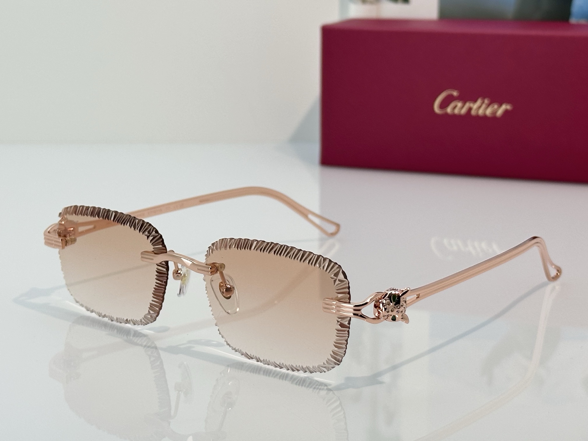 Designer Sunglasses CT7071S