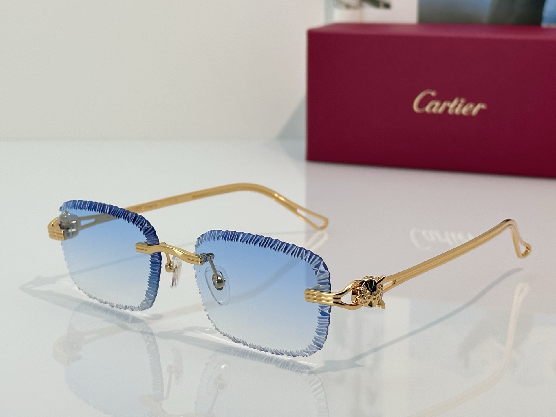 Designer Sunglasses CT7071S