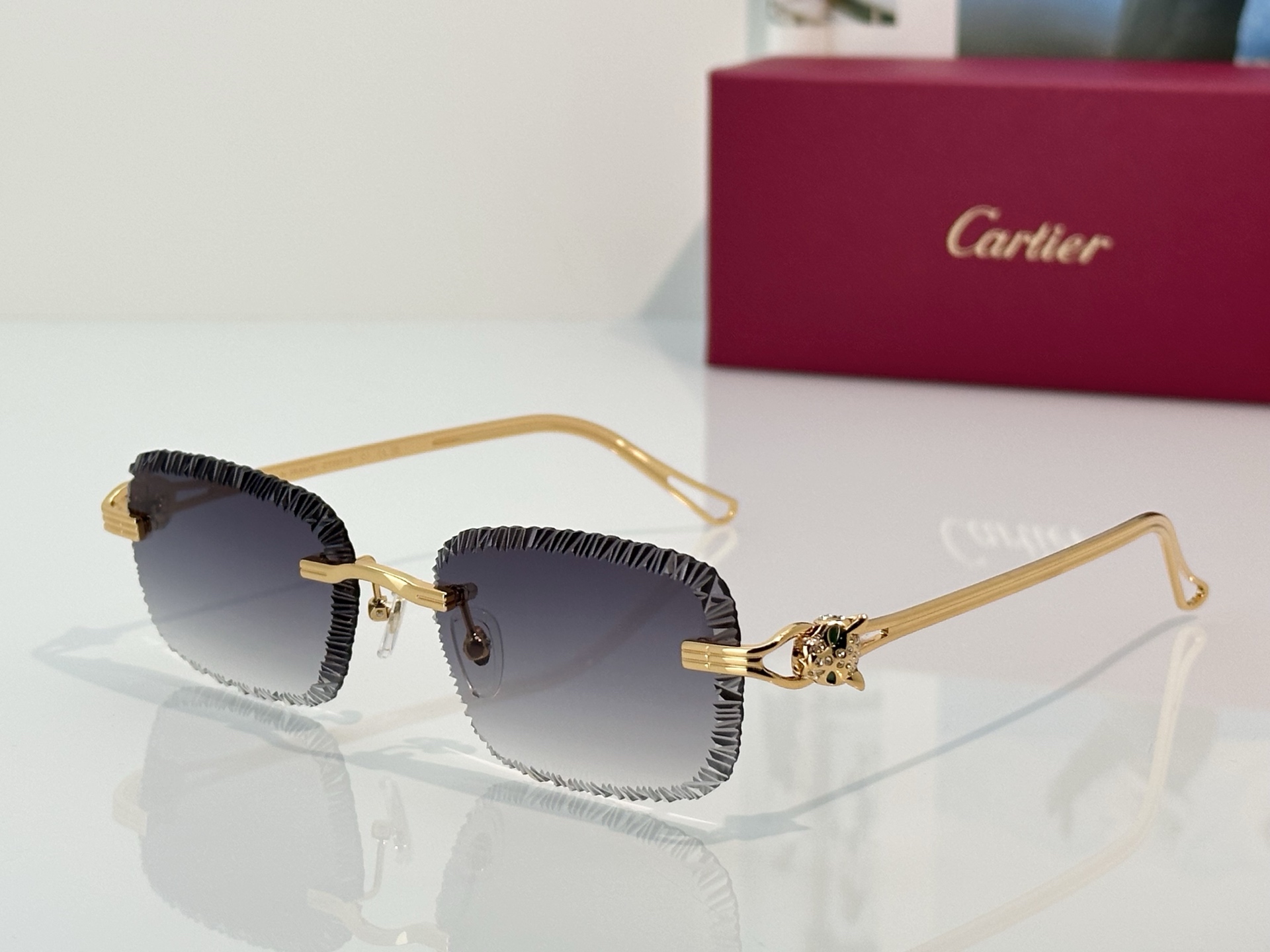 Designer Sunglasses CT7071S