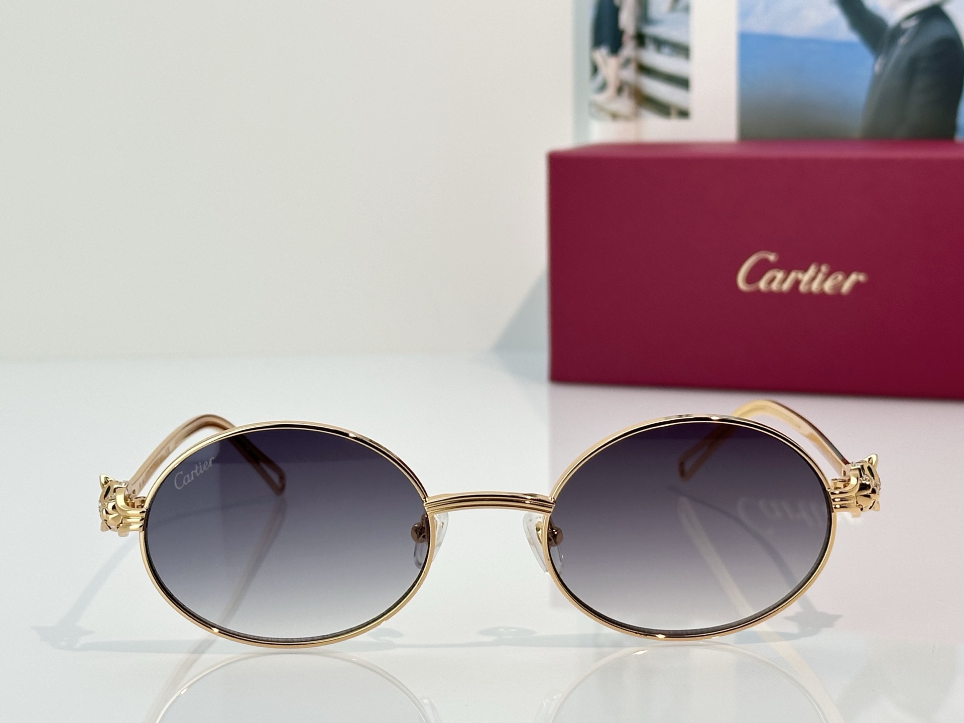 Designer Sunglasses CT7073S