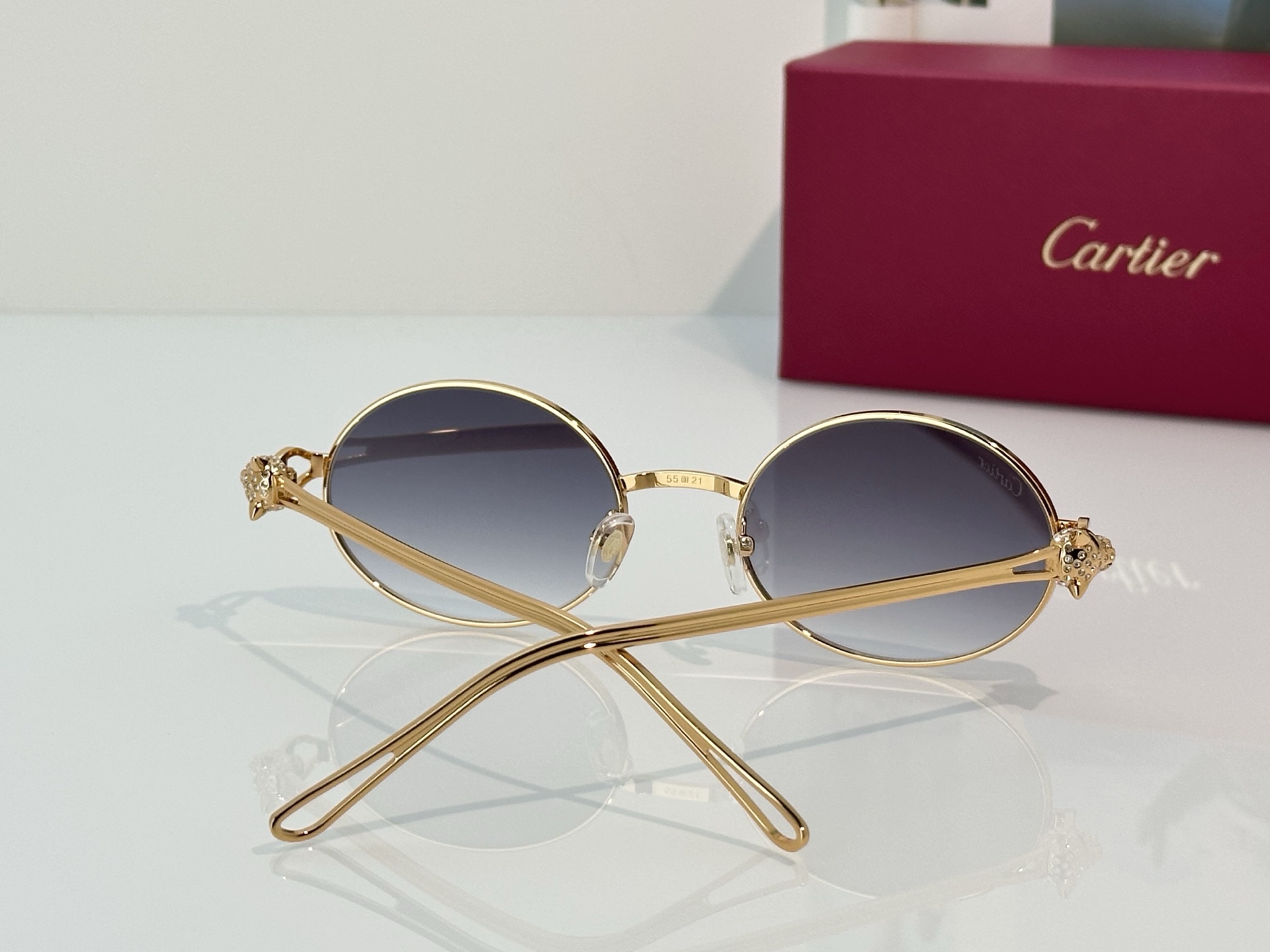 Designer Sunglasses CT7073S