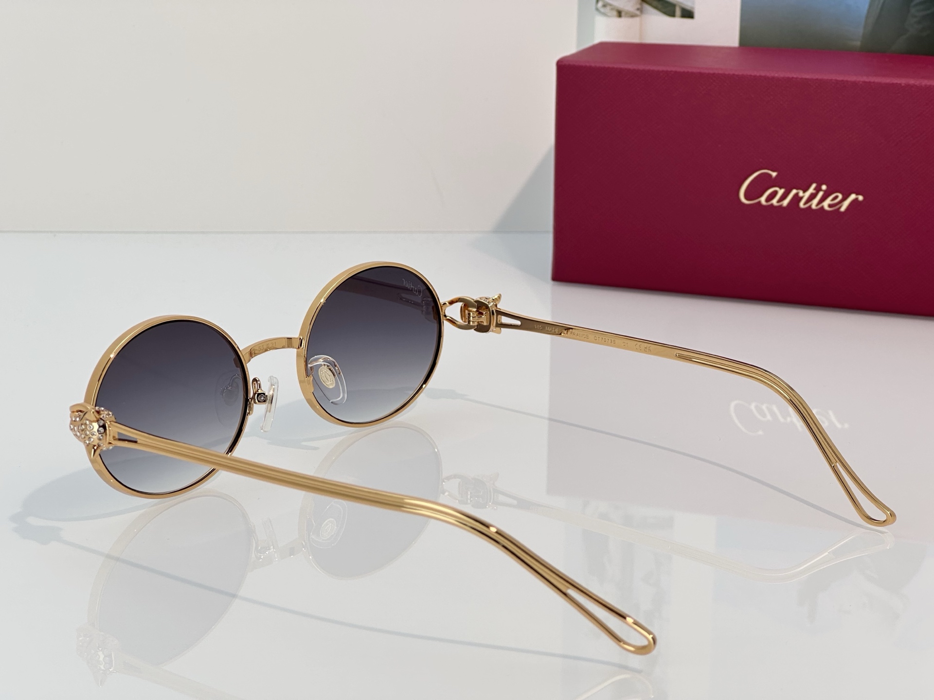 Designer Sunglasses CT7073S