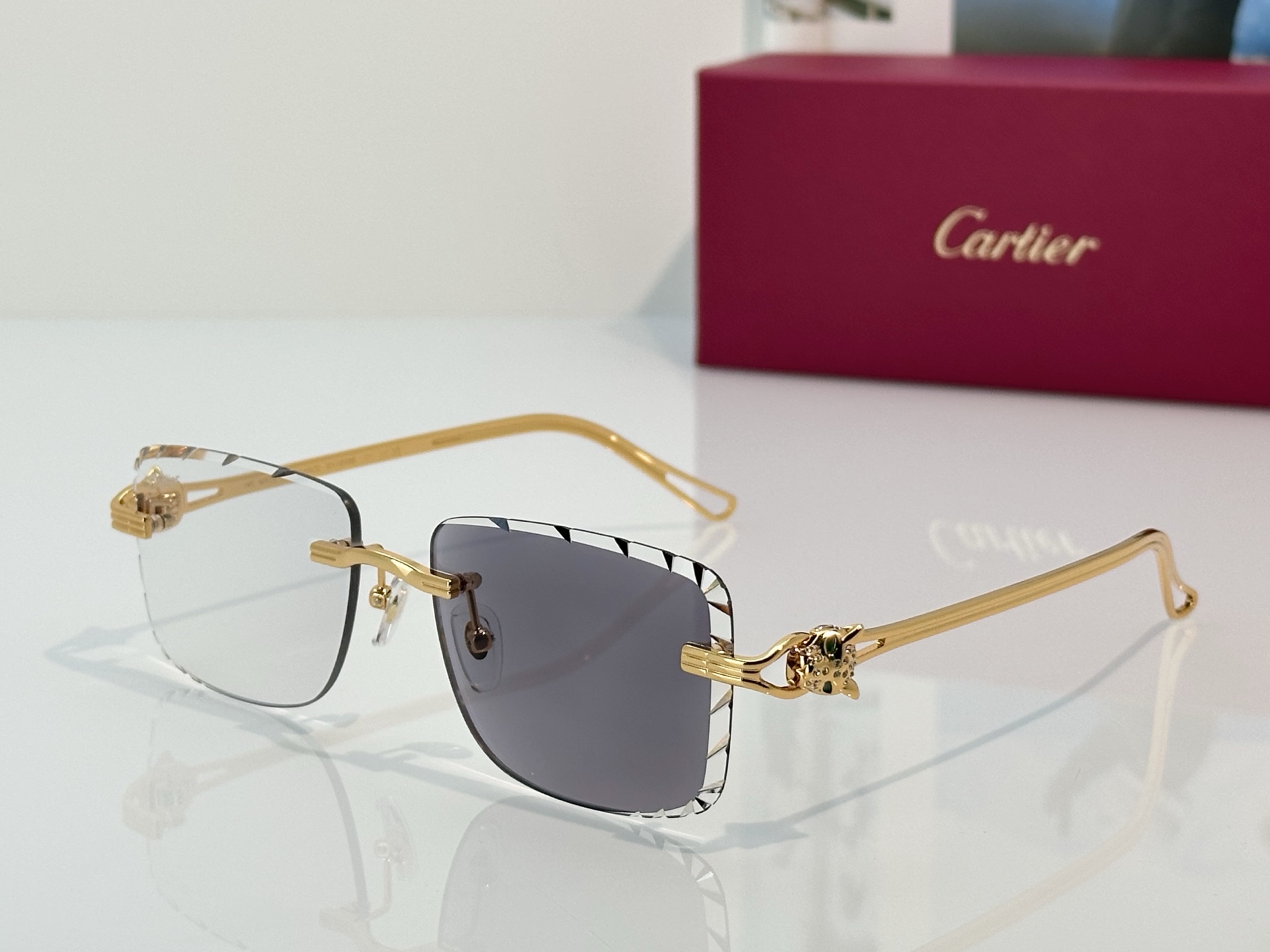Designer Sunglasses CT7070S