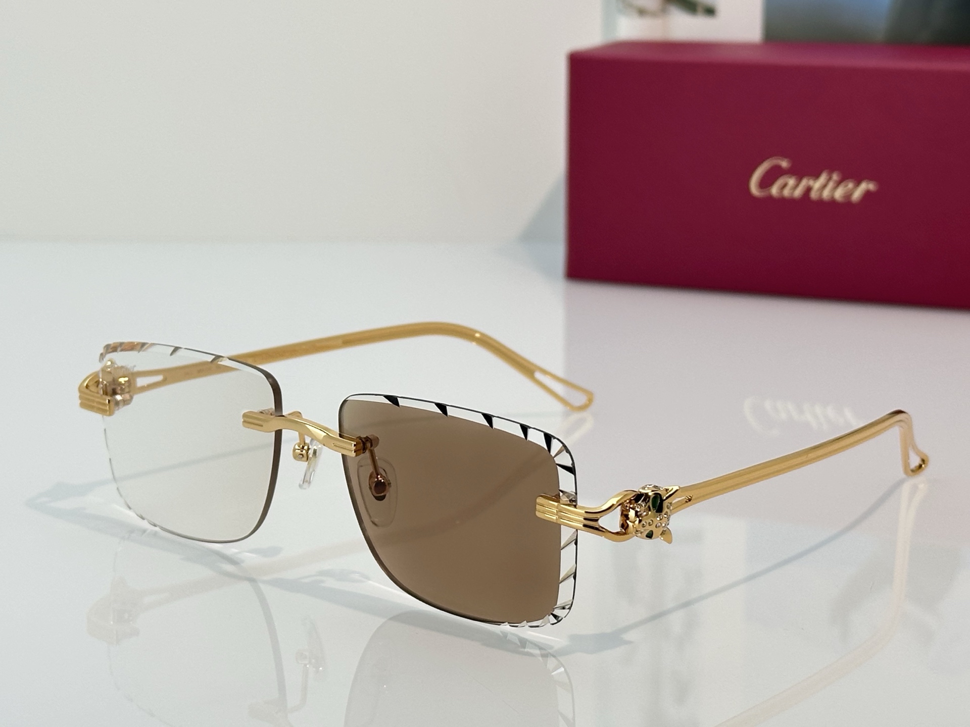 Designer Sunglasses CT7070S