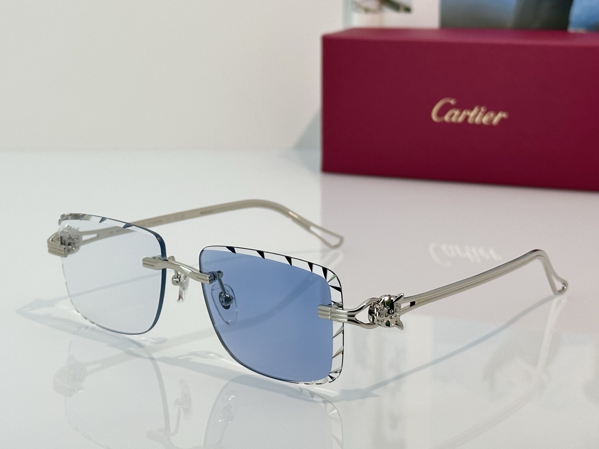 Designer Sunglasses CT7070S