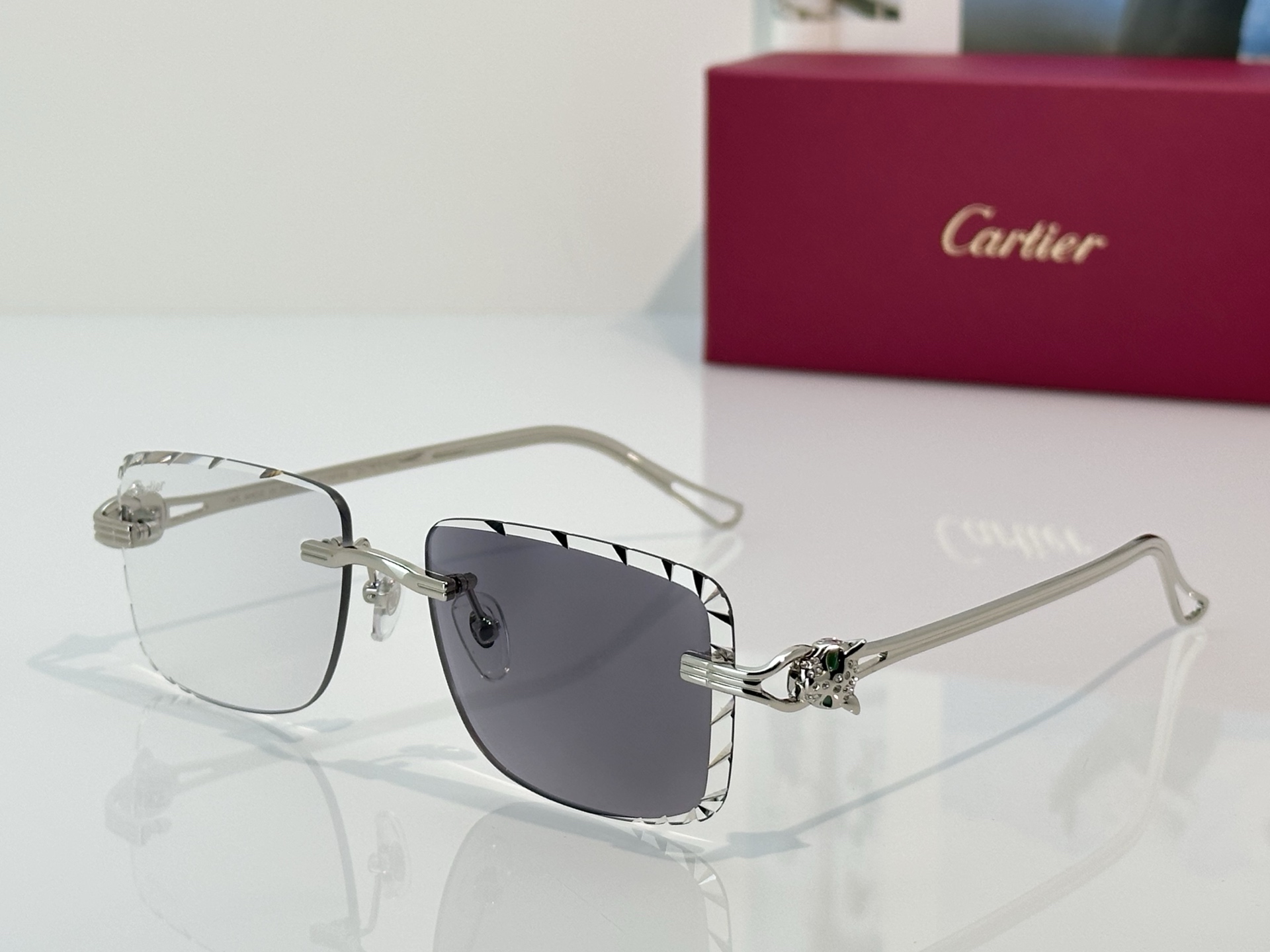 Designer Sunglasses CT7070S