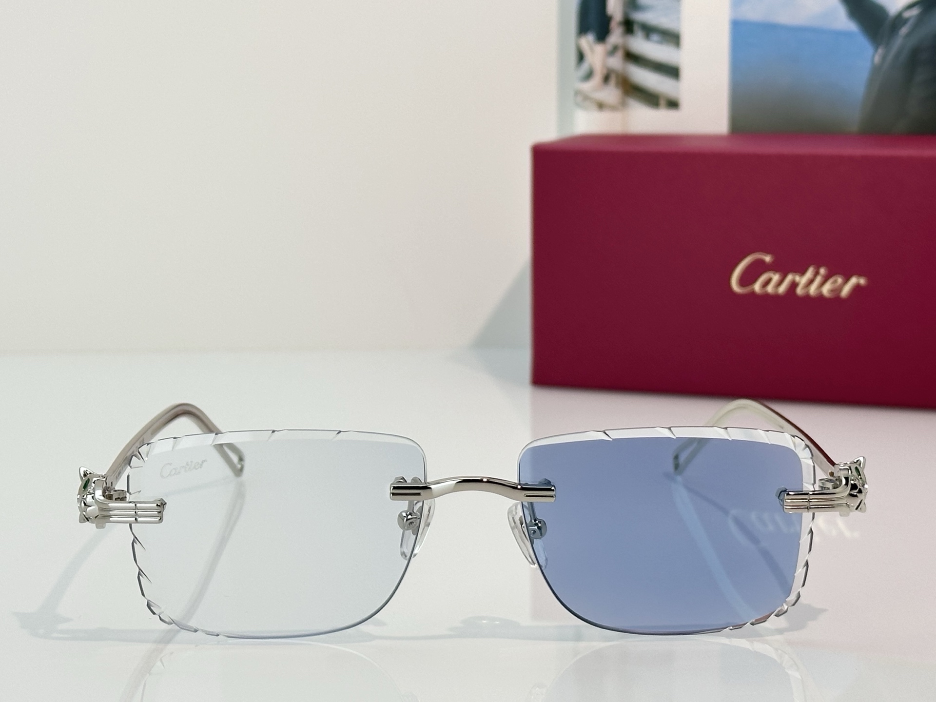 Designer Sunglasses CT7070S