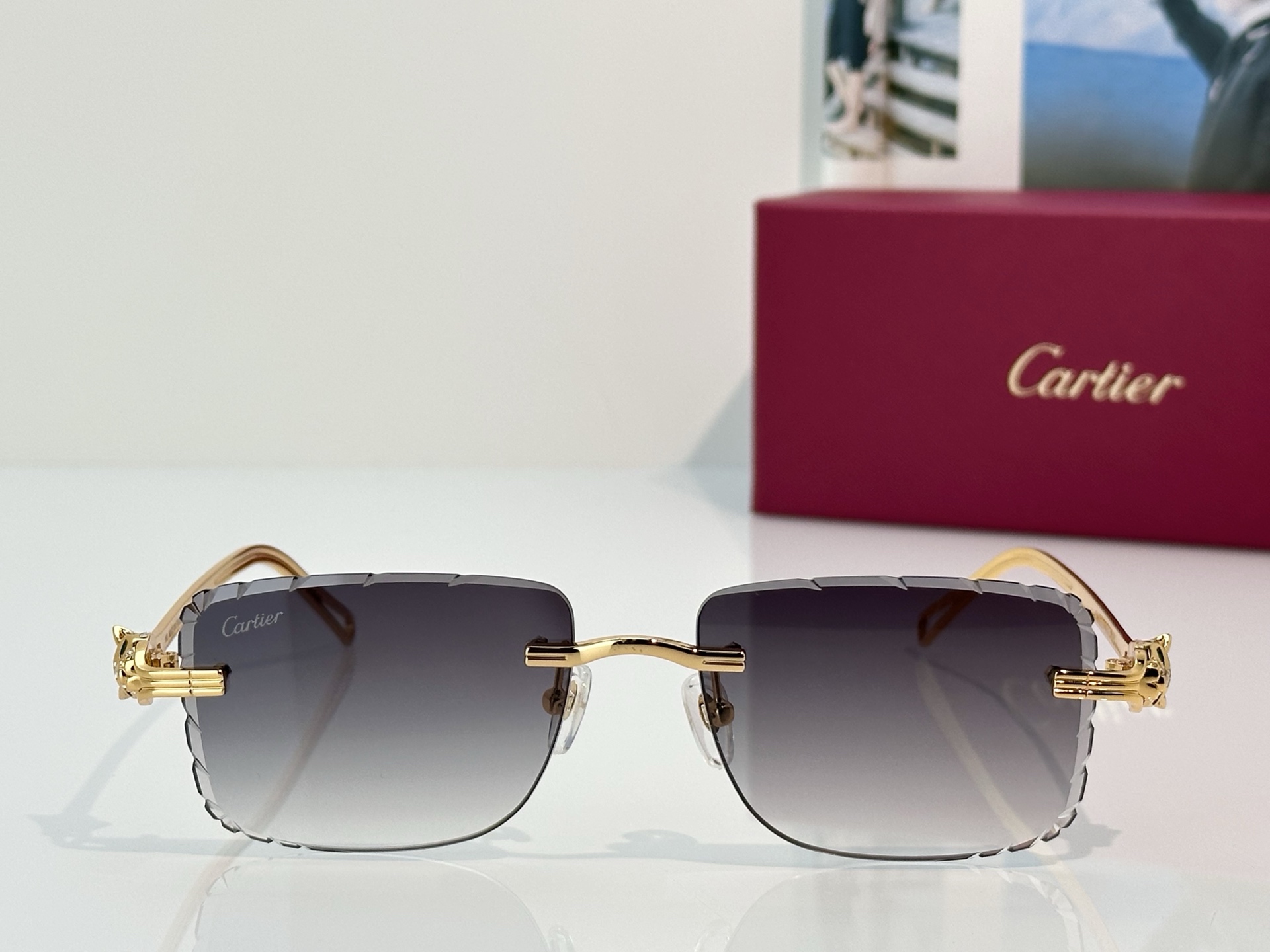 Designer Sunglasses CT7070S