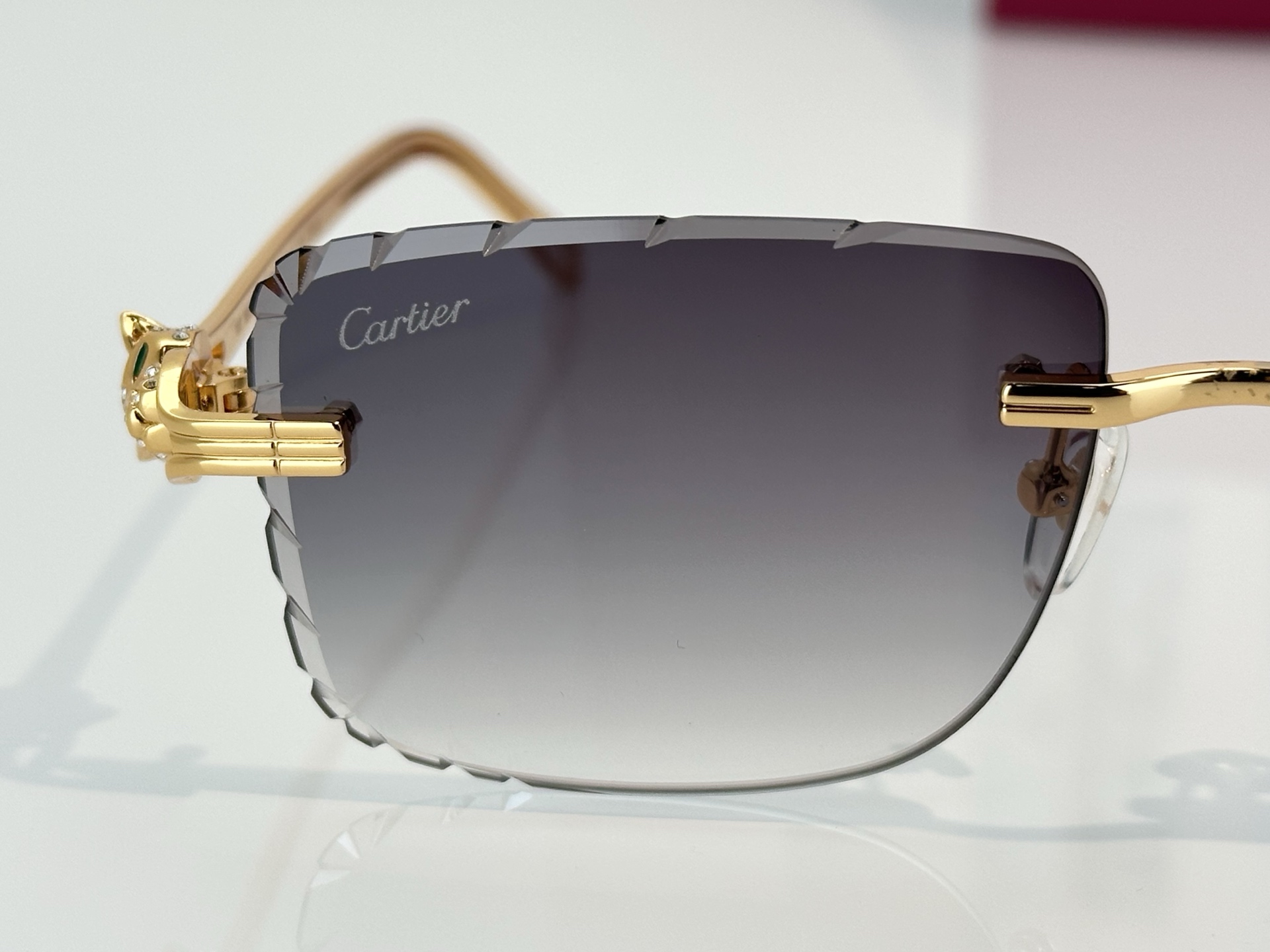 Designer Sunglasses CT7070S