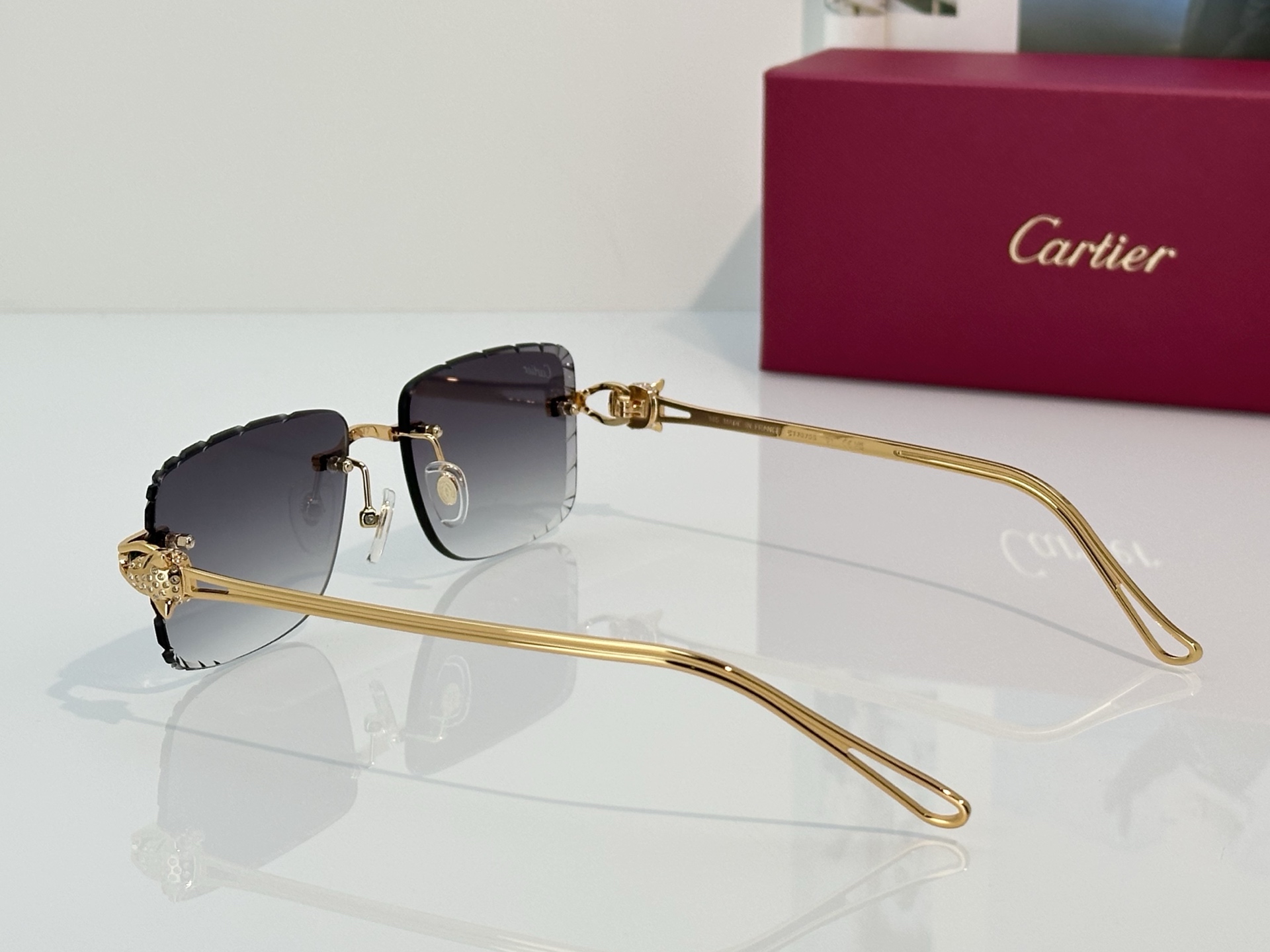 Designer Sunglasses CT7070S