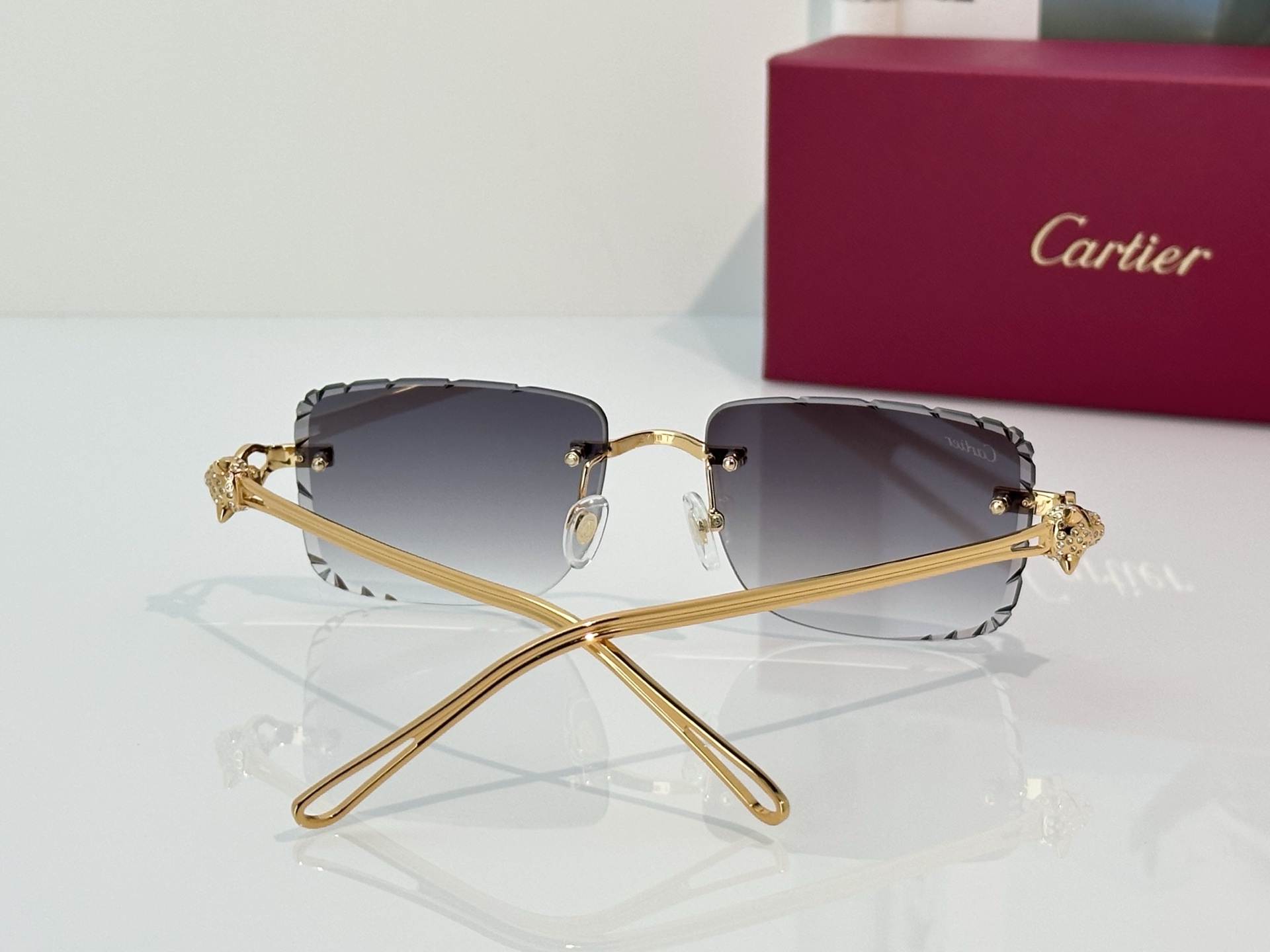 Designer Sunglasses CT7070S