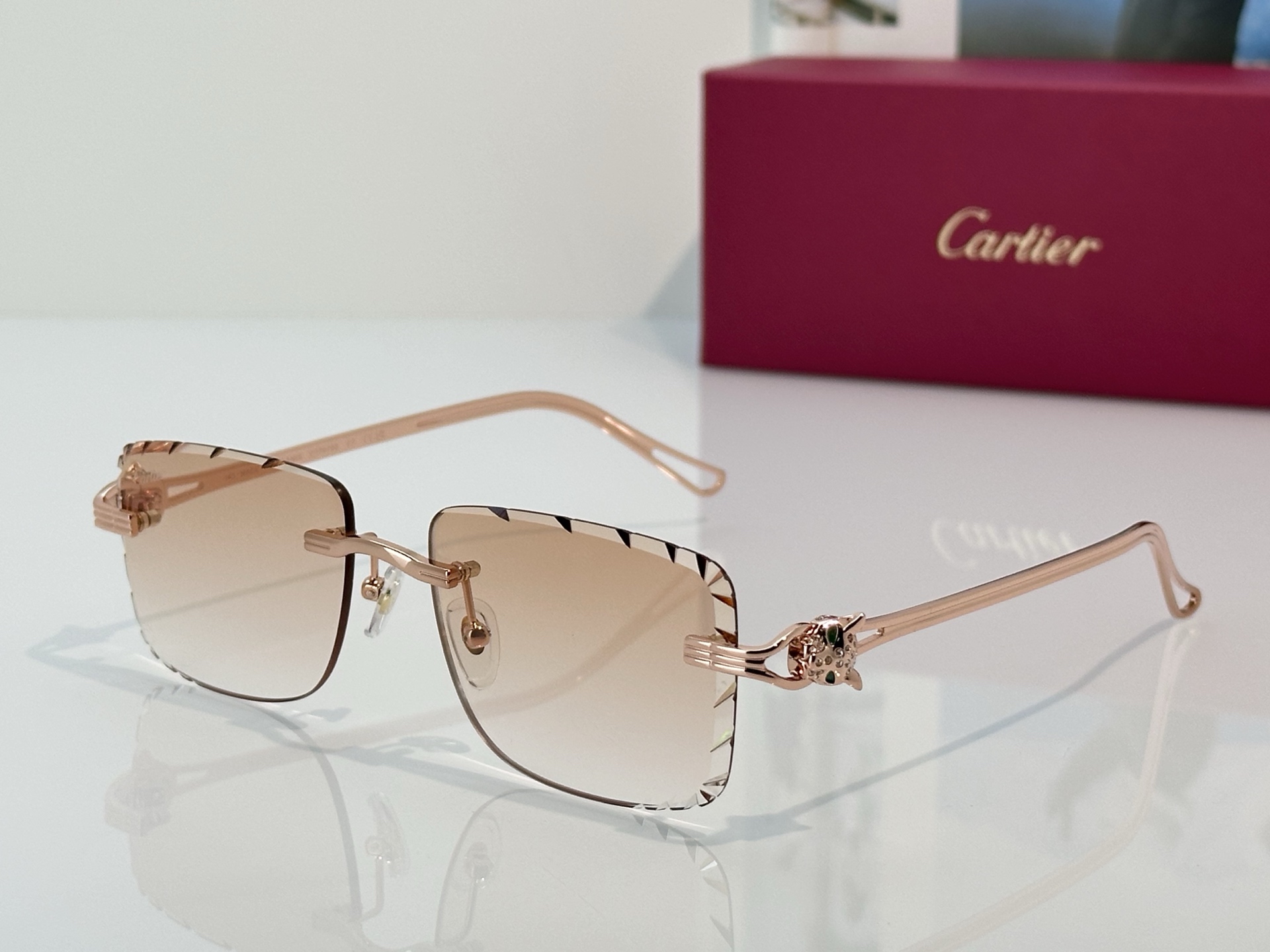 Designer Sunglasses CT7070S