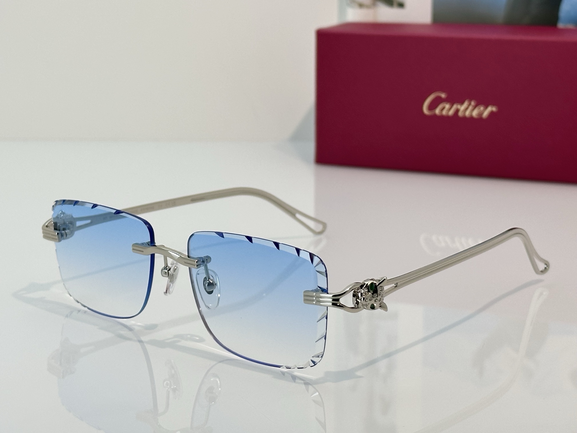 Designer Sunglasses CT7070S