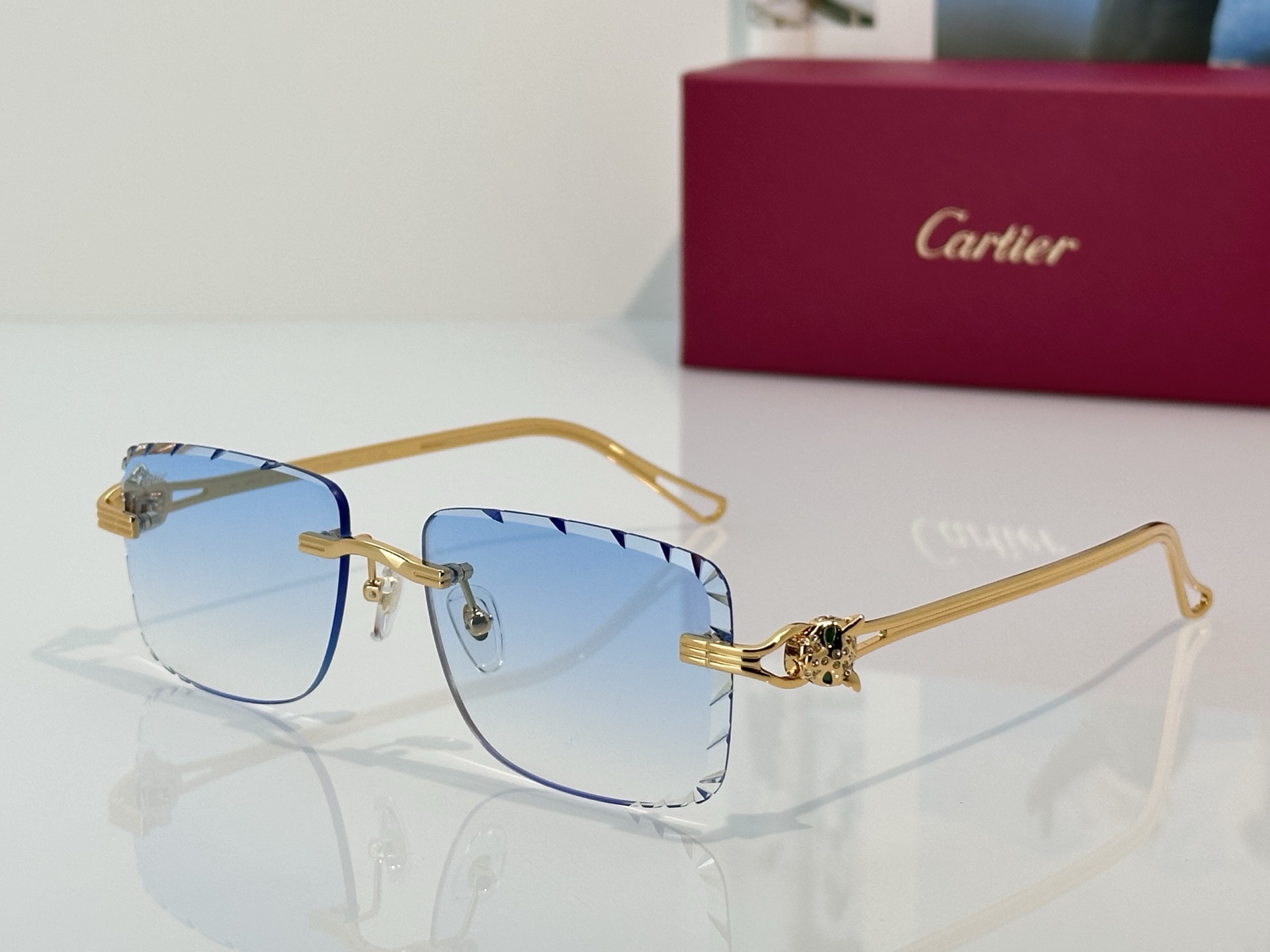 Designer Sunglasses CT7070S