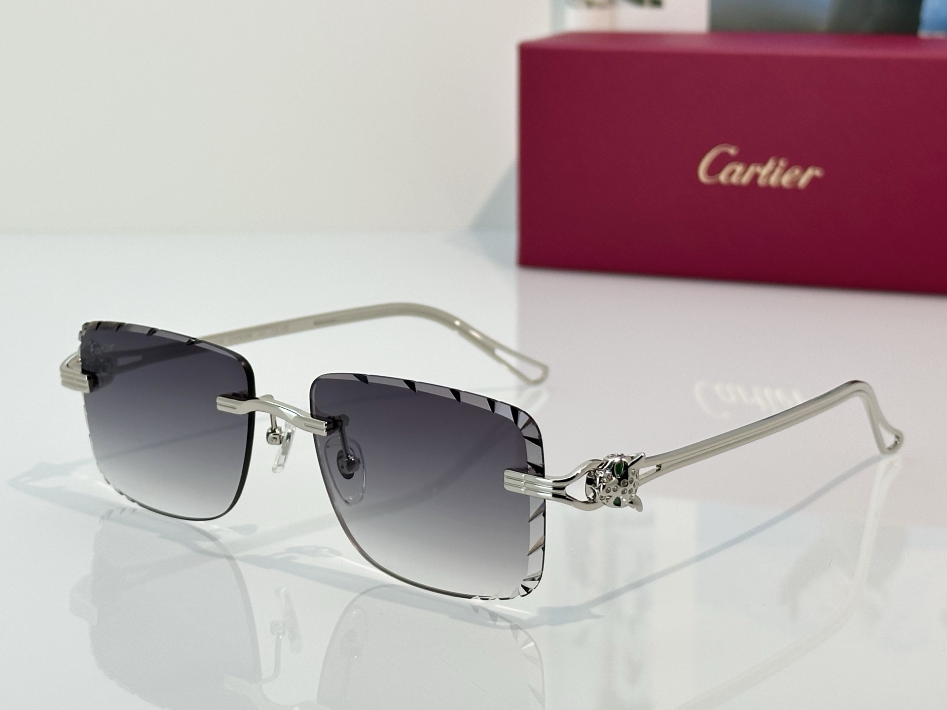 Designer Sunglasses CT7070S