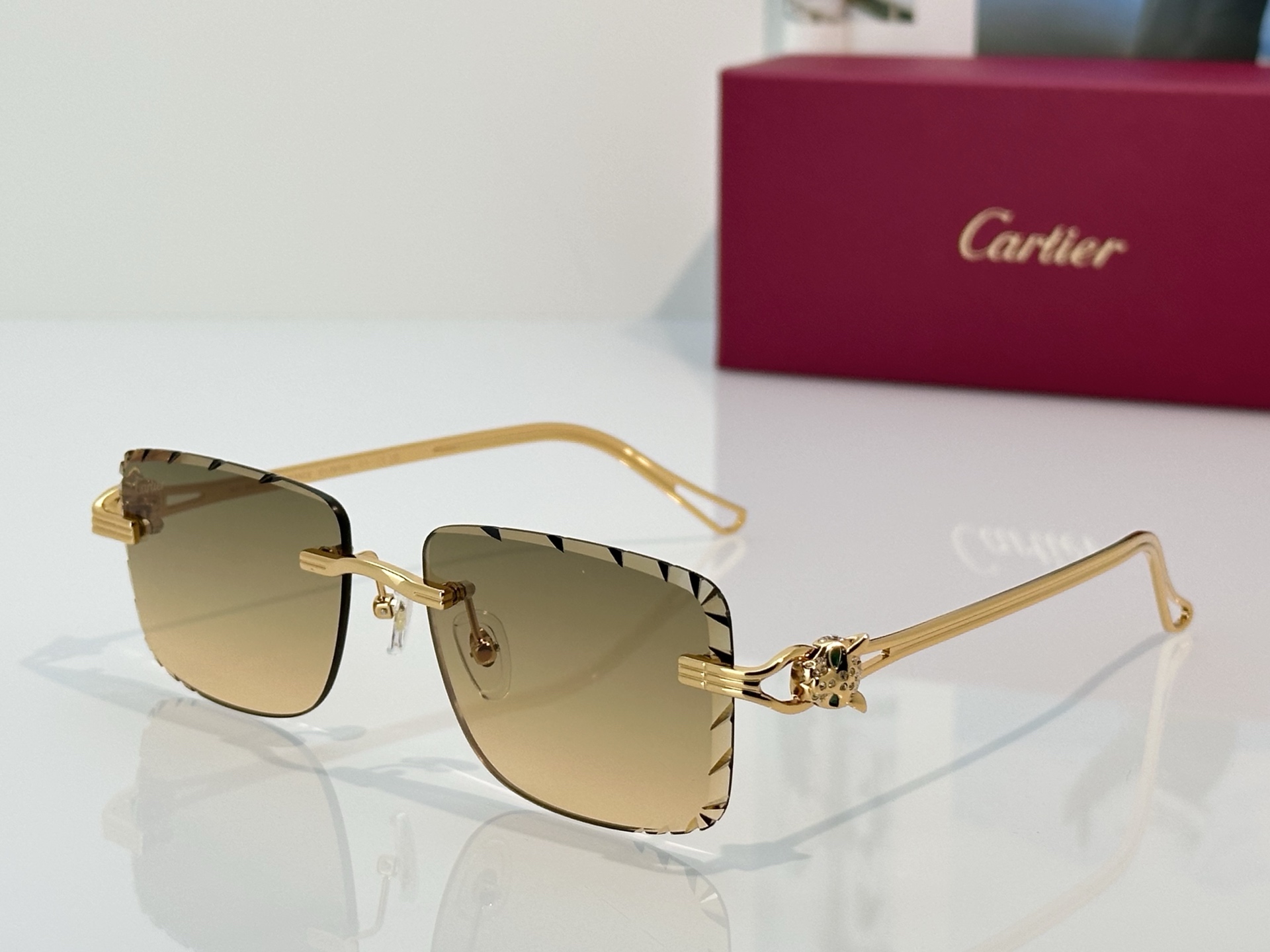 Designer Sunglasses CT7070S