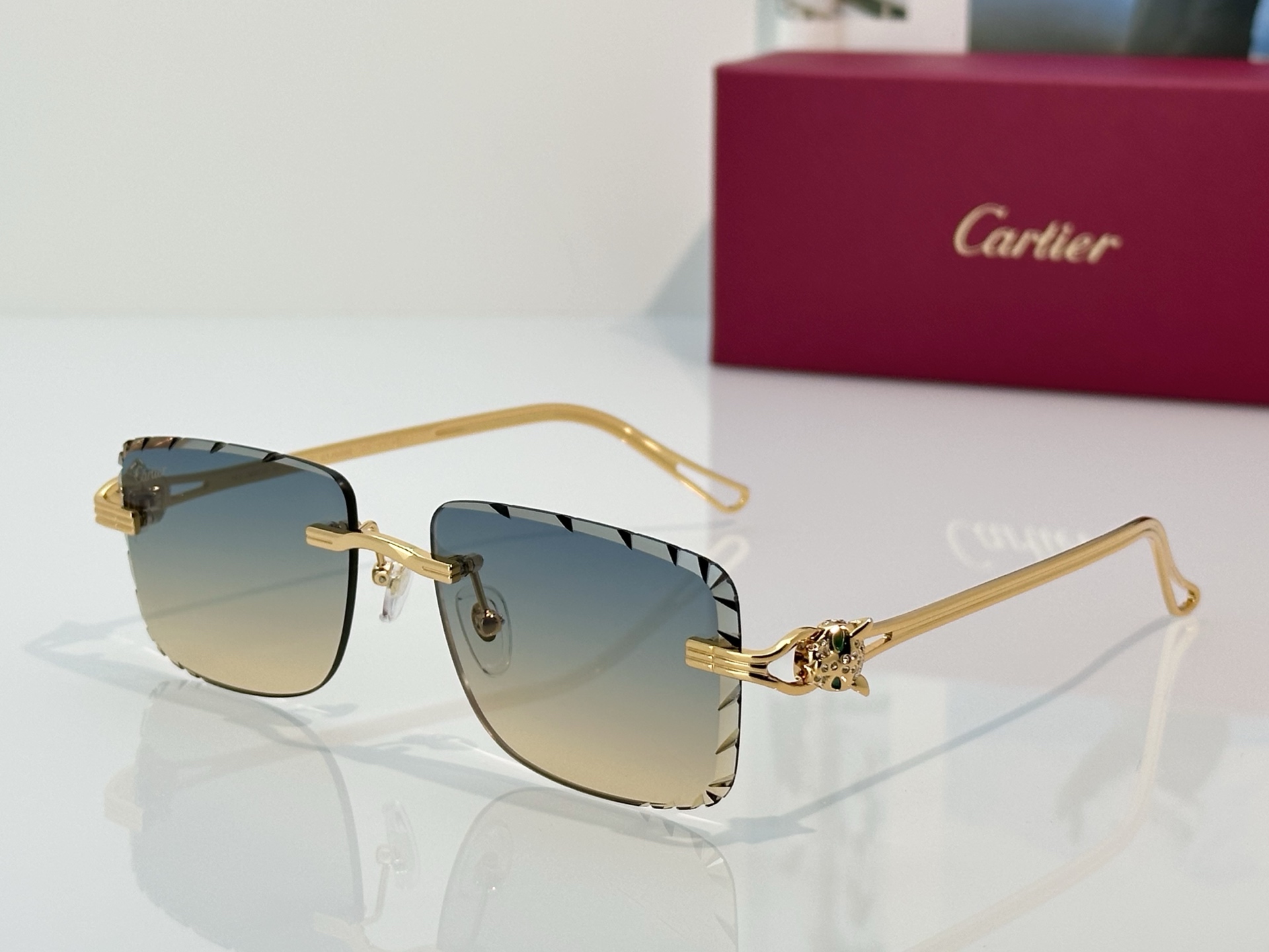 Designer Sunglasses CT7070S