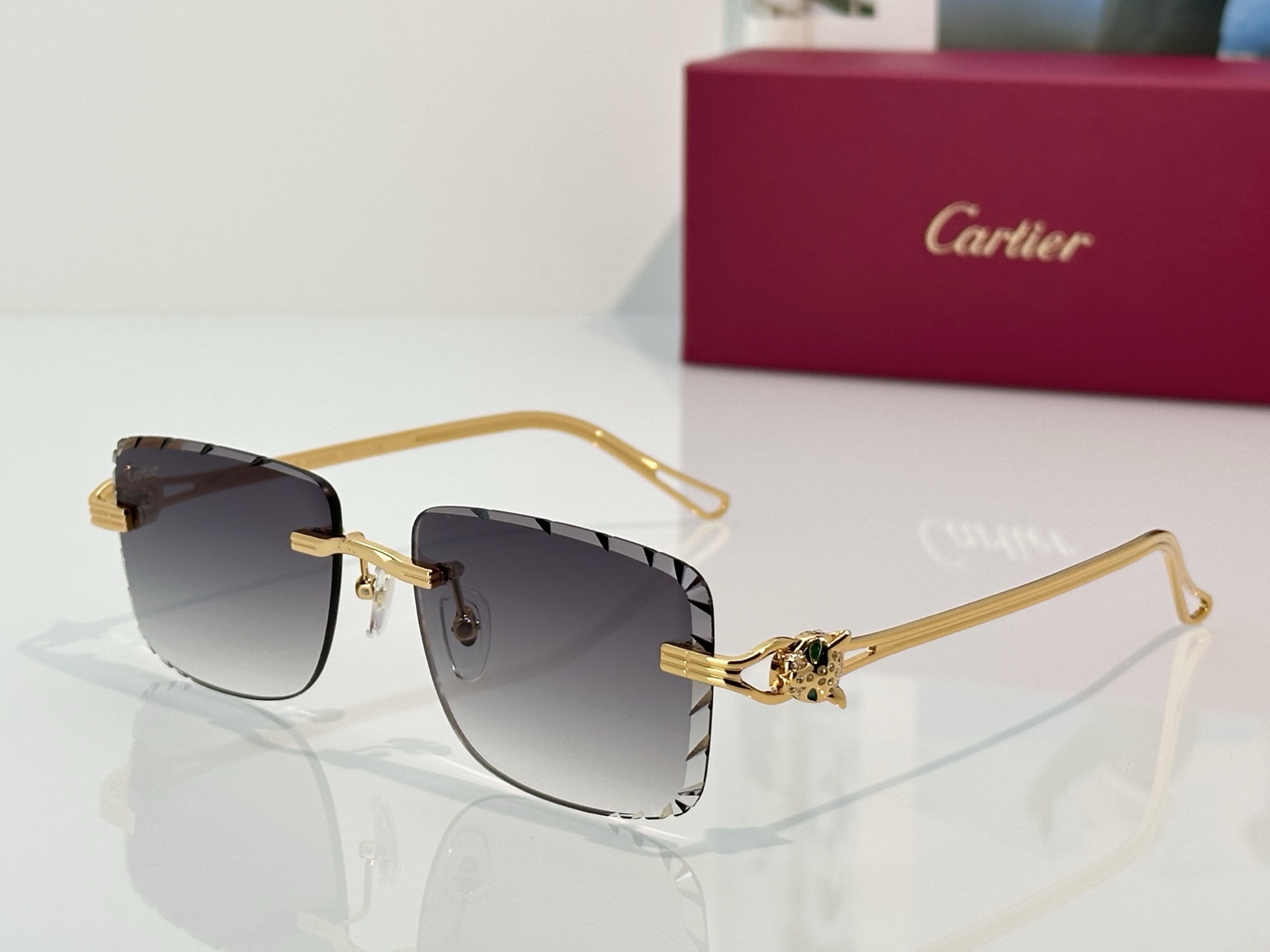 Designer Sunglasses CT7070S