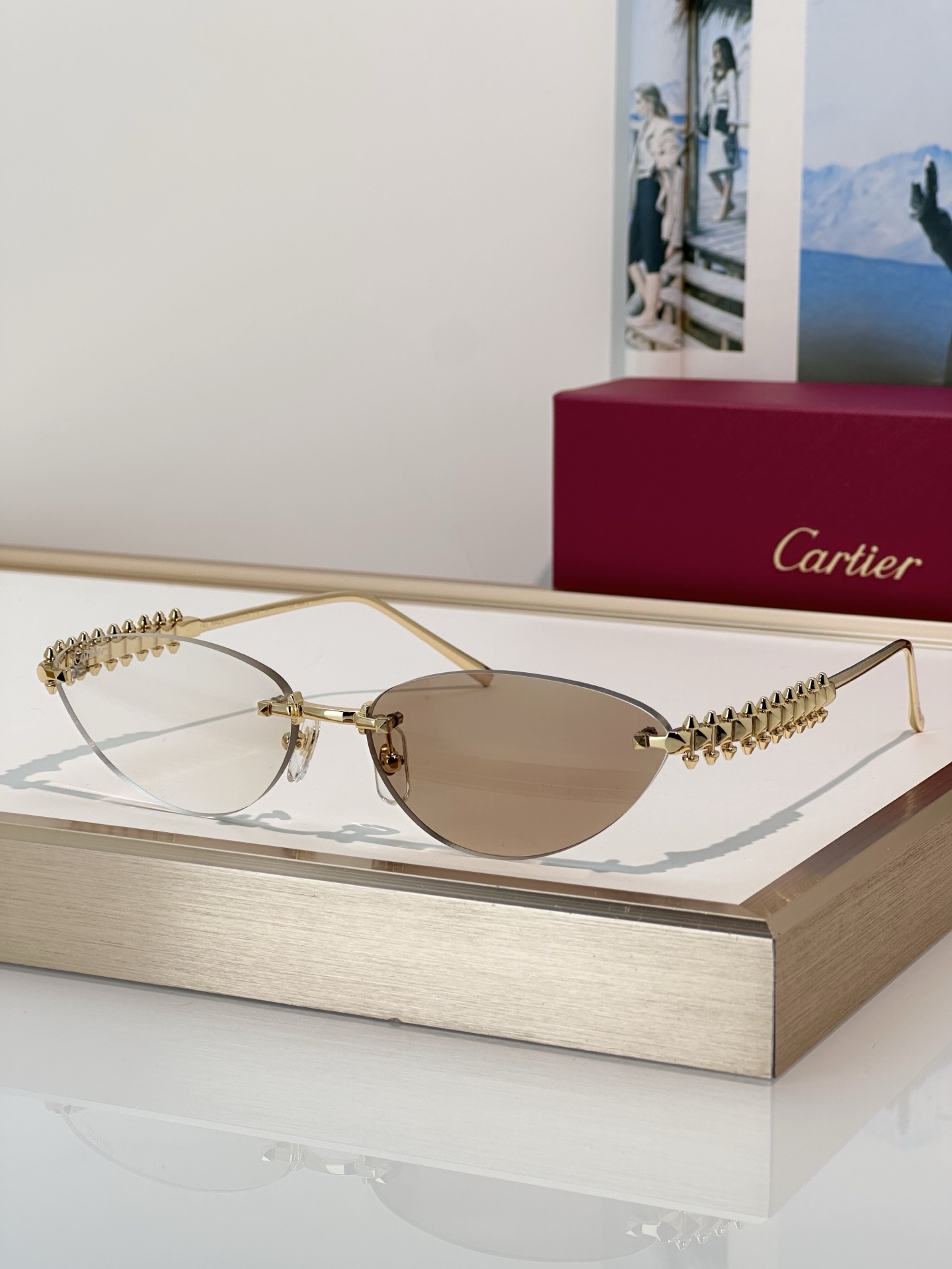 Designer Sunglasses CT0543S