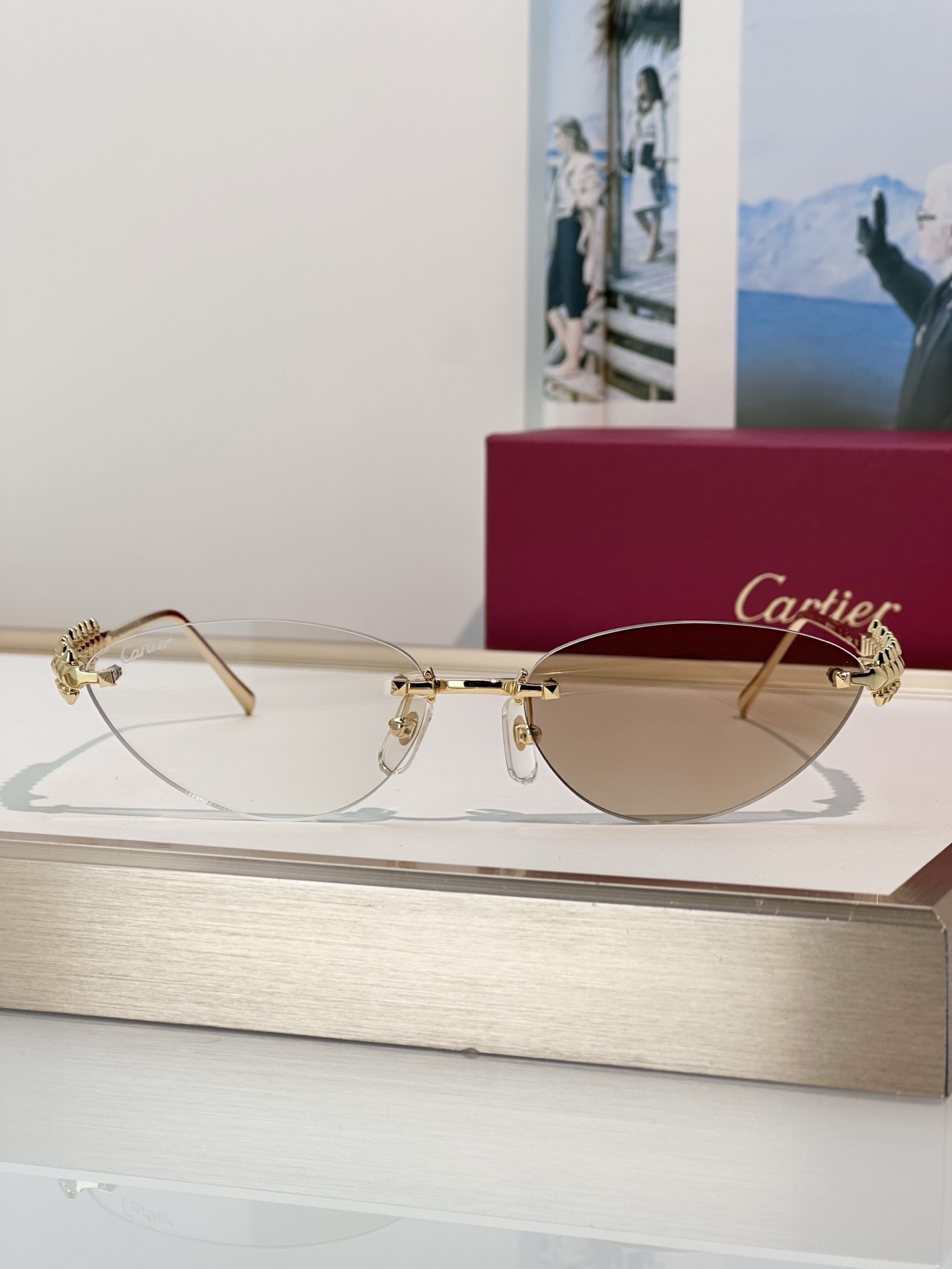 Designer Sunglasses CT0543S